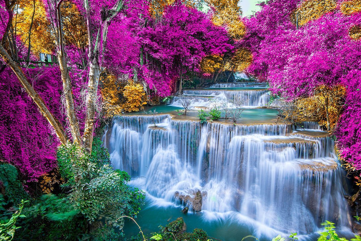 1200x801 Forest Waterfall Theme Wallpaper Mural. Pink Purple Forest