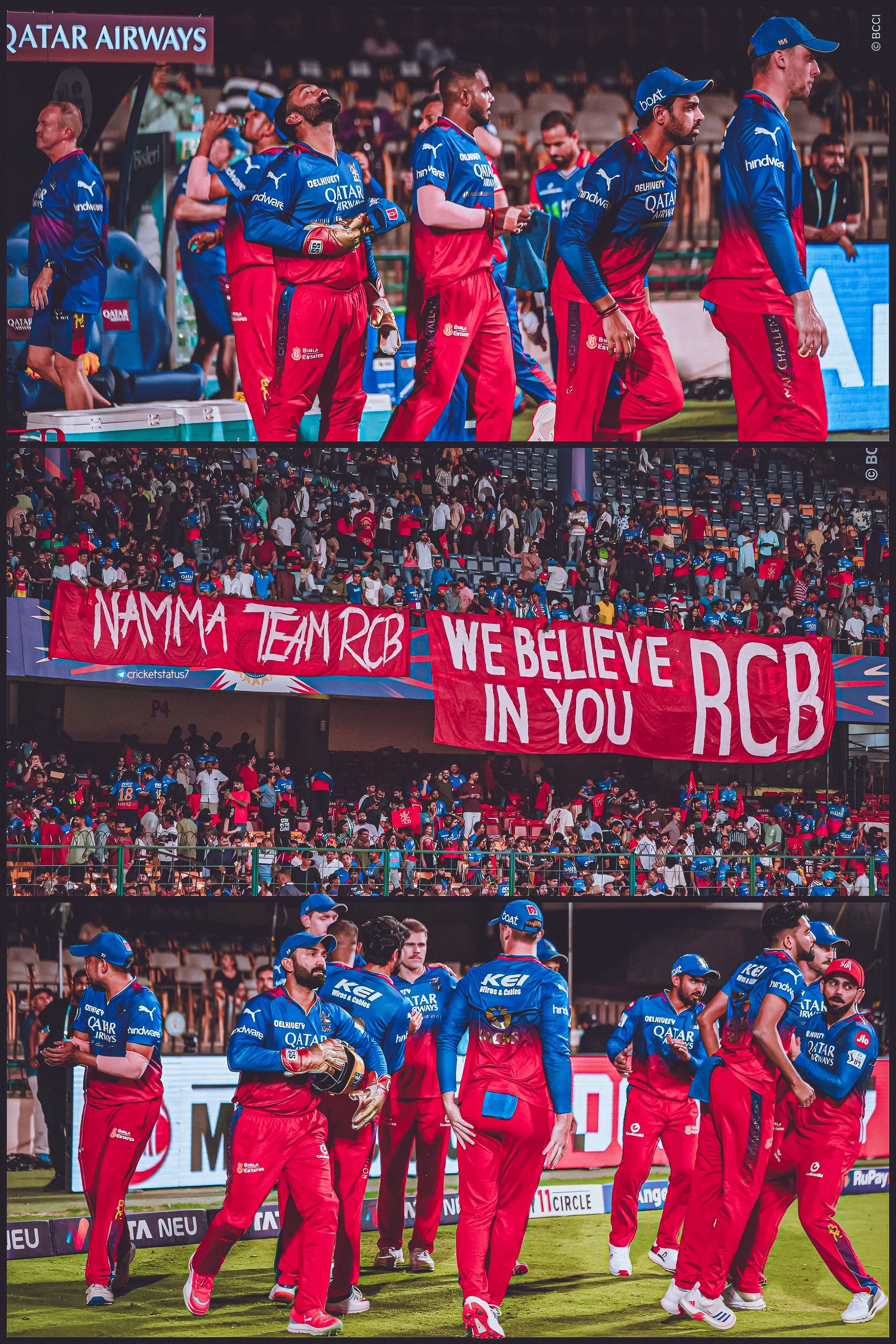 2731x4096 Discover 310 RCB♥️ and virat kohli ideas. virat kohli rcb photo, siraj rcb, virat rcb wallpaper and more