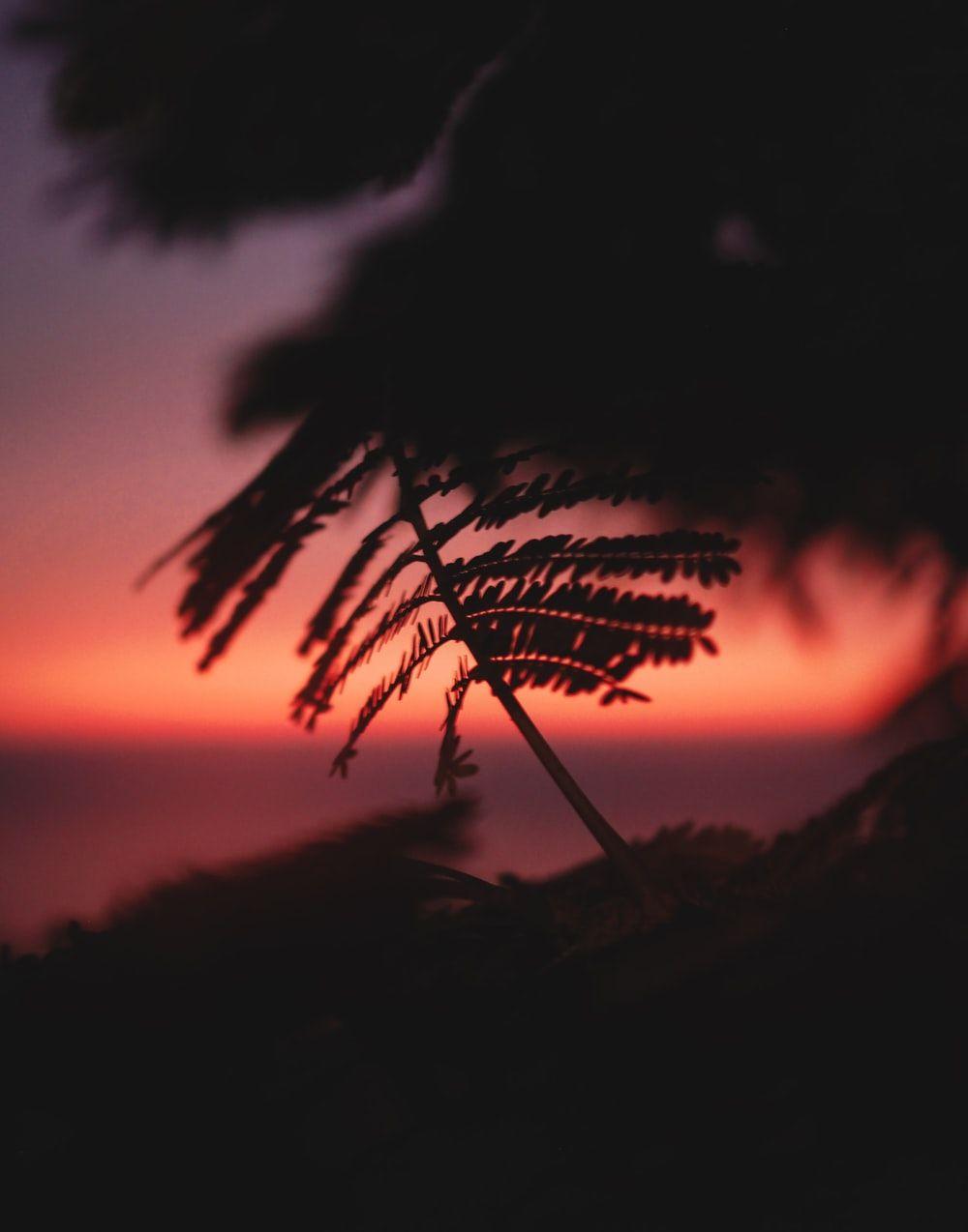 1000x1274 Night Bokeh Picture. Download Free Image