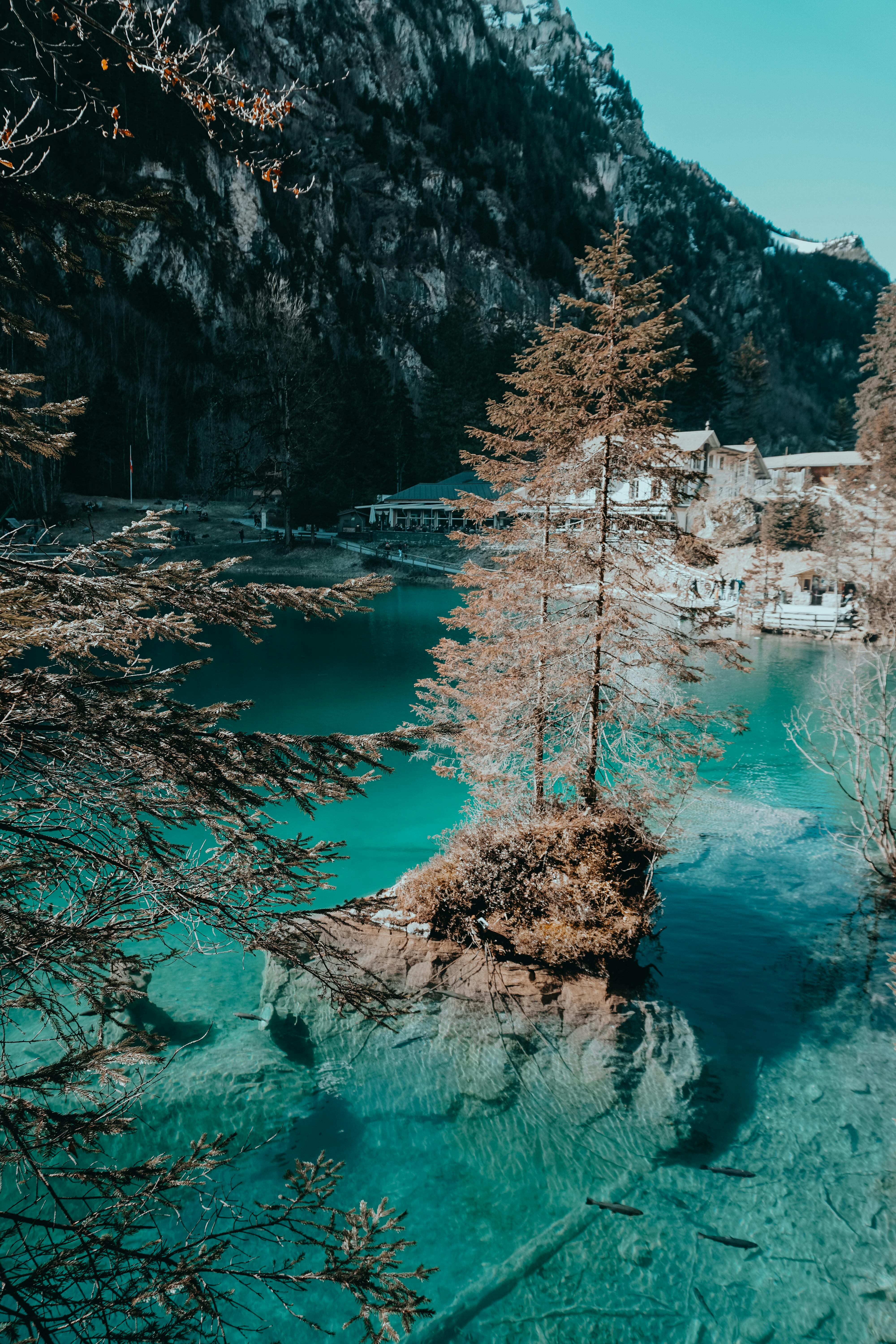 4000x6000 Lake During Daytime · Free