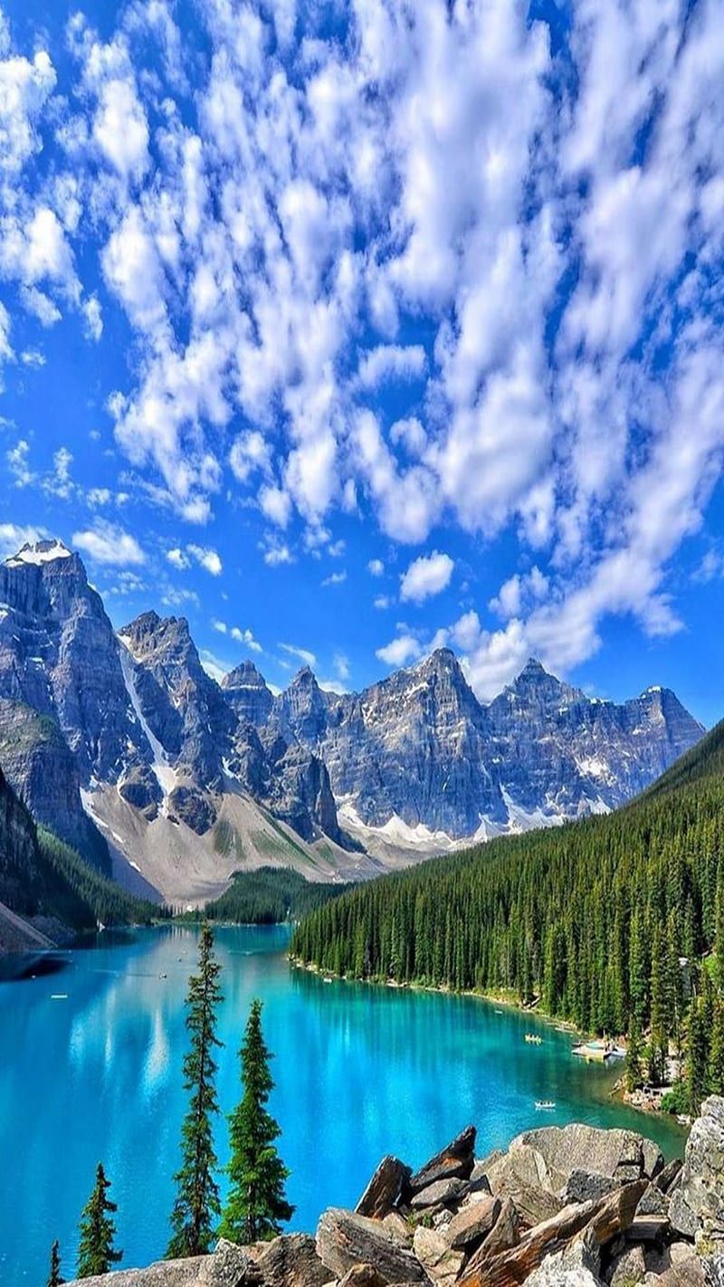 800x1422 Landscape, Switzerland, Landscape