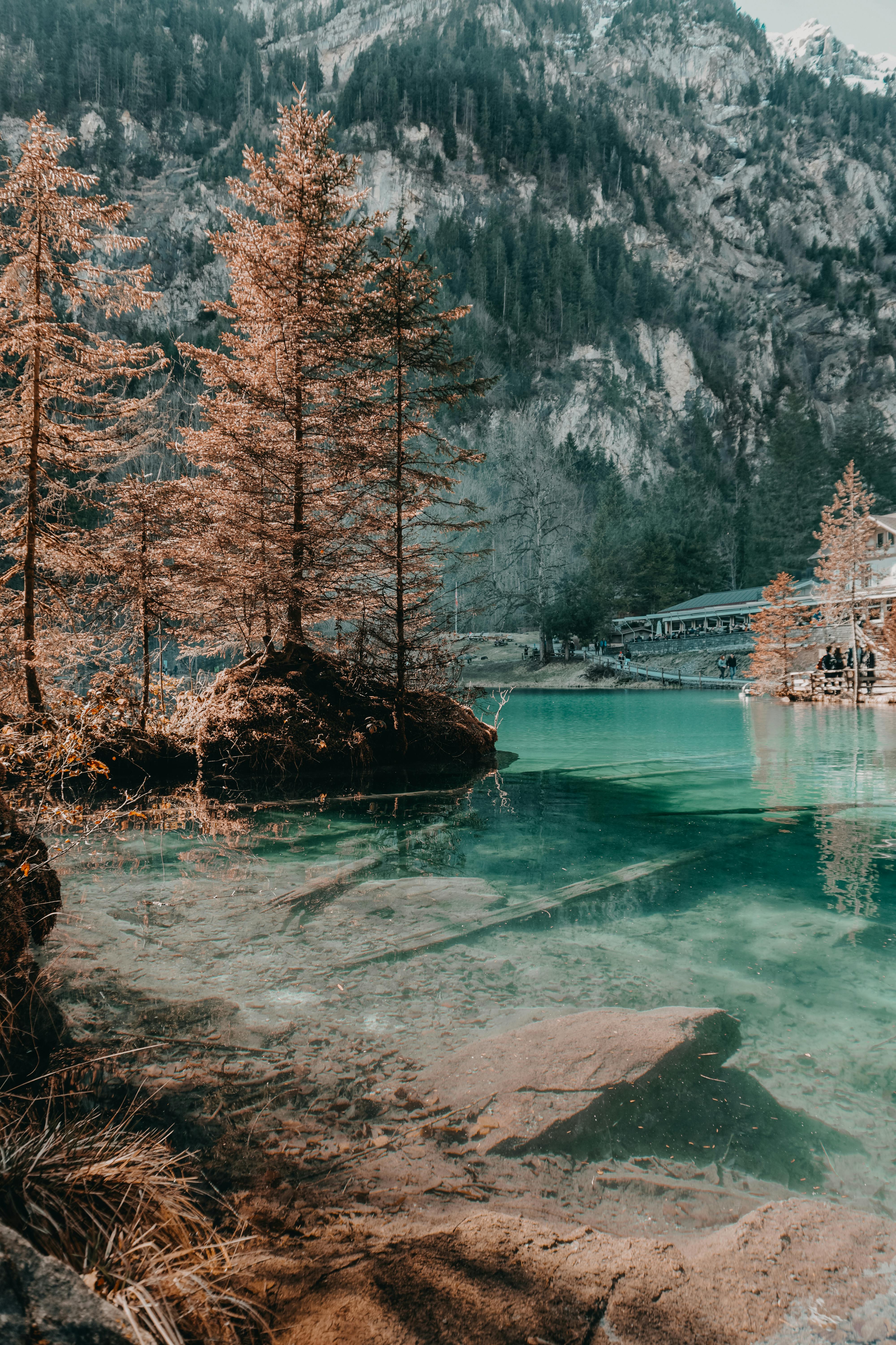 4000x6000 Photo of Blausee Lake · Free