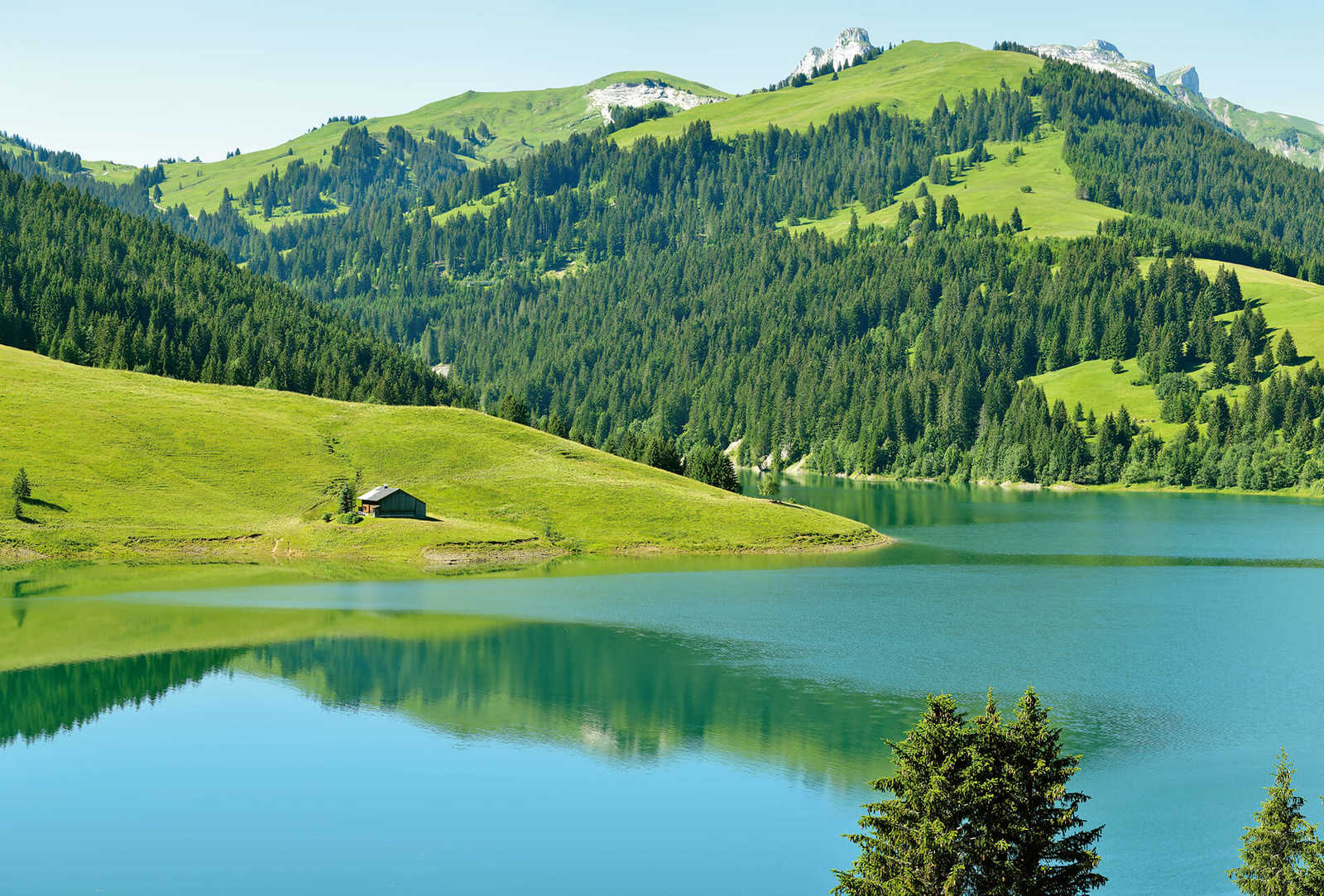 1600x1083 Photo wallpaper Mountain
