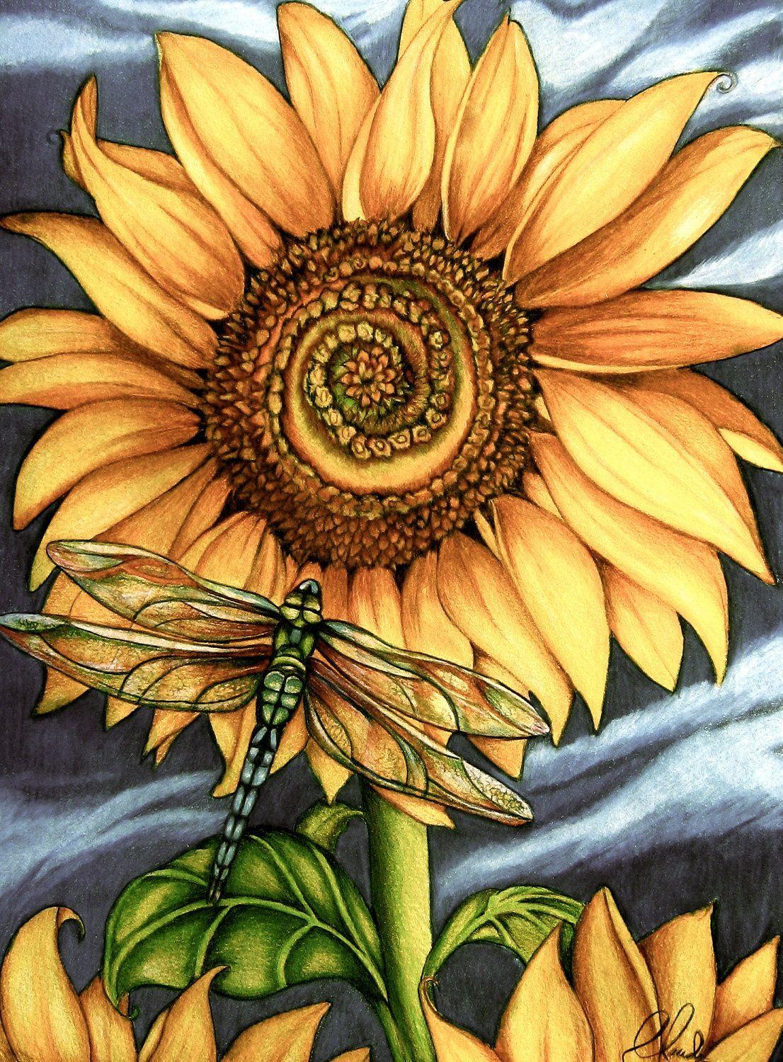Sunflower with Dragonfly Wallpapers - Top Free Sunflower with Dragonfly