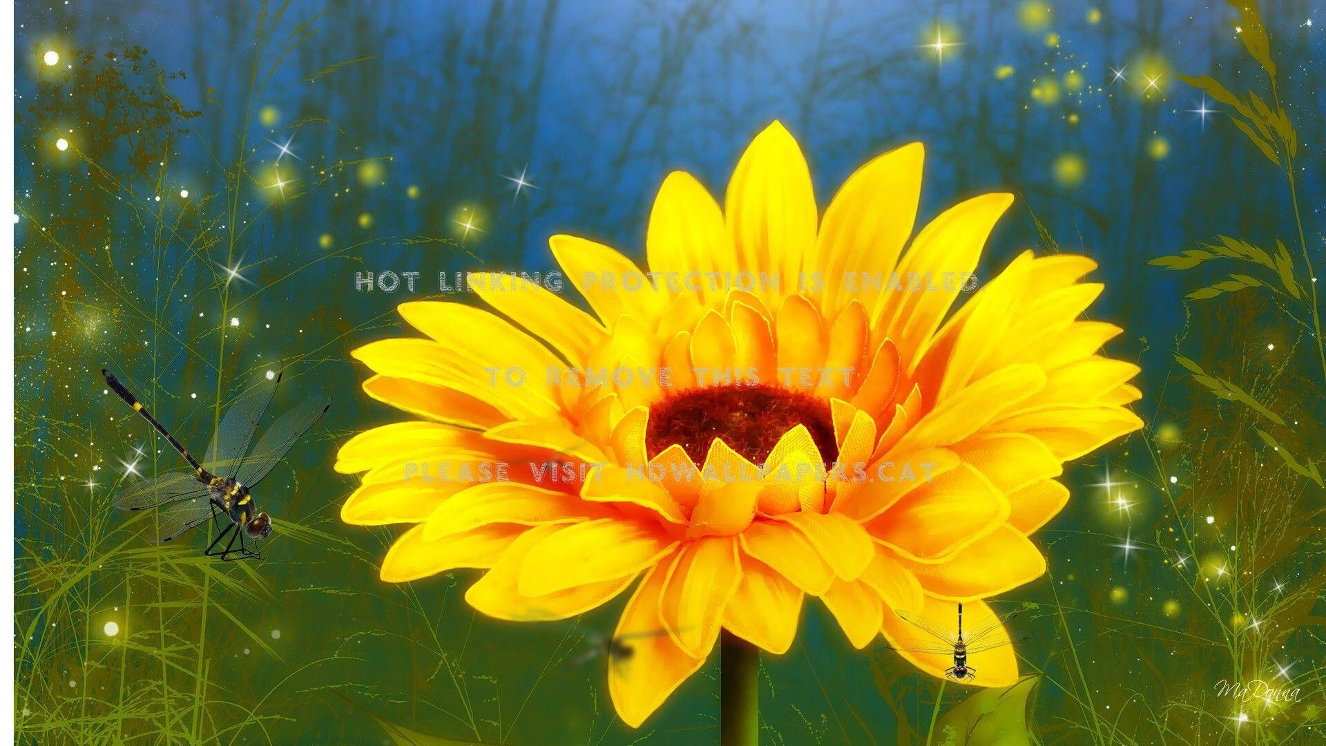 Sunflower with Dragonfly Wallpapers - Top Free Sunflower with Dragonfly