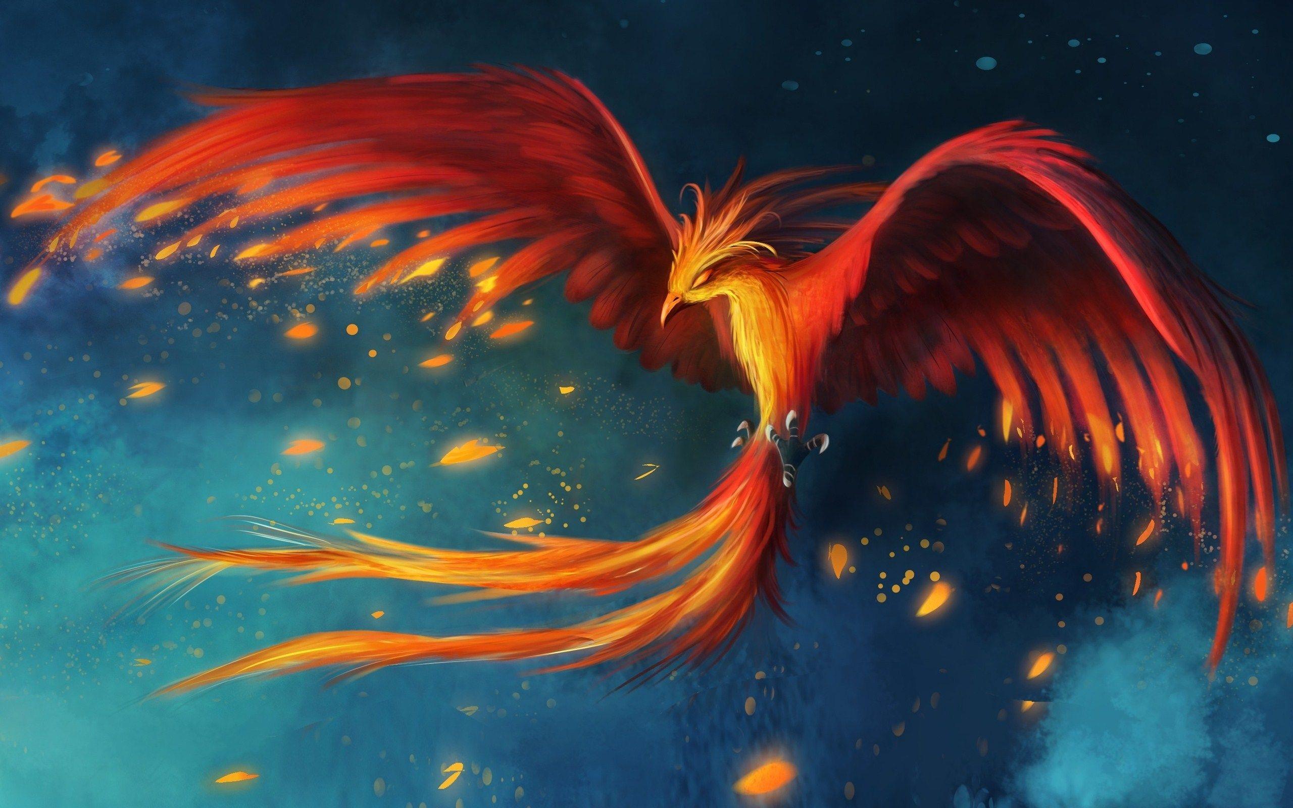 2560x1600 Phoenix Picture (24)