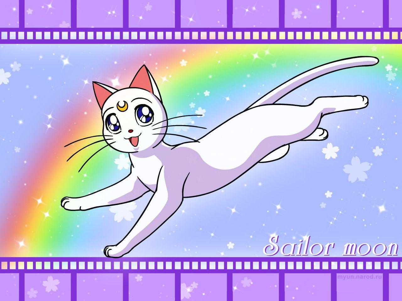 Sailor Moon Artemis Wallpapers Top Free Sailor Moon Artemis Backgrounds Wallpaperaccess