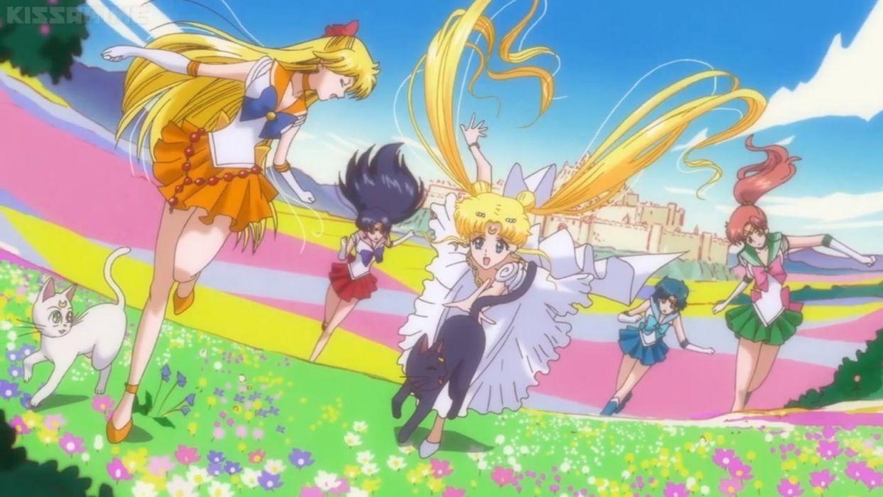 1244x700 Sailor moon crystal group friend senshi flower cat anime series wallpaperx900