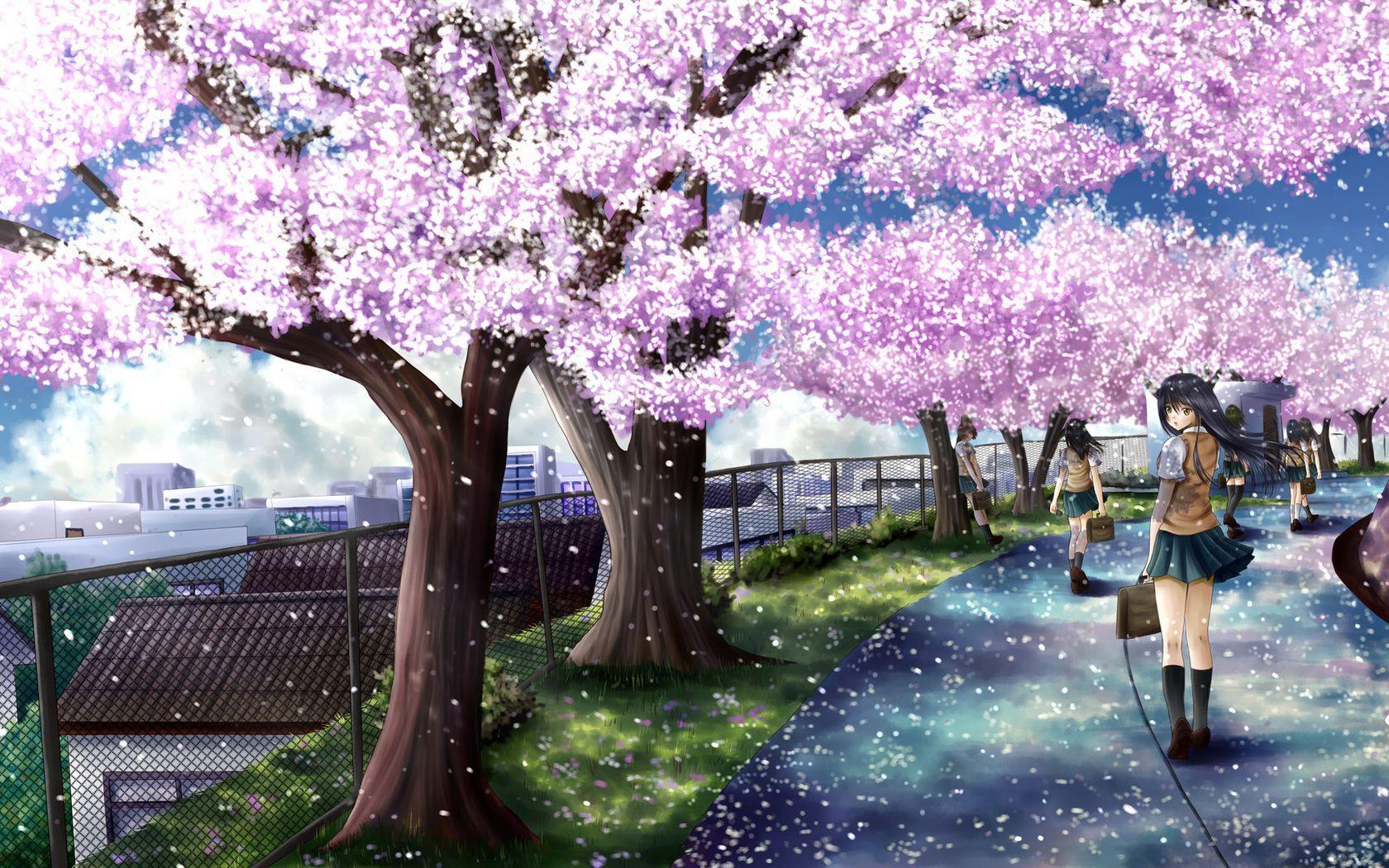 Beautiful anime style cherry blossom in a park at warm day. Generated ai.  22555275 Stock Photo at Vecteezy