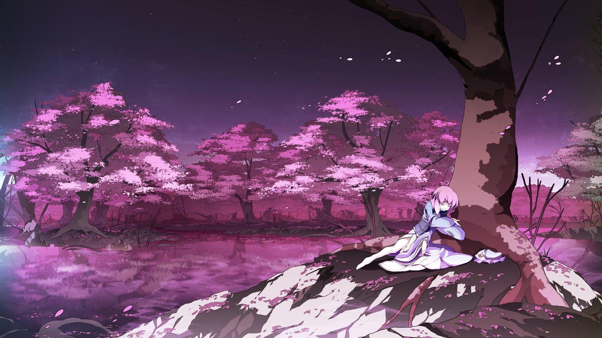 1920x1080 Cherry Blossom Tree Anime hình nền