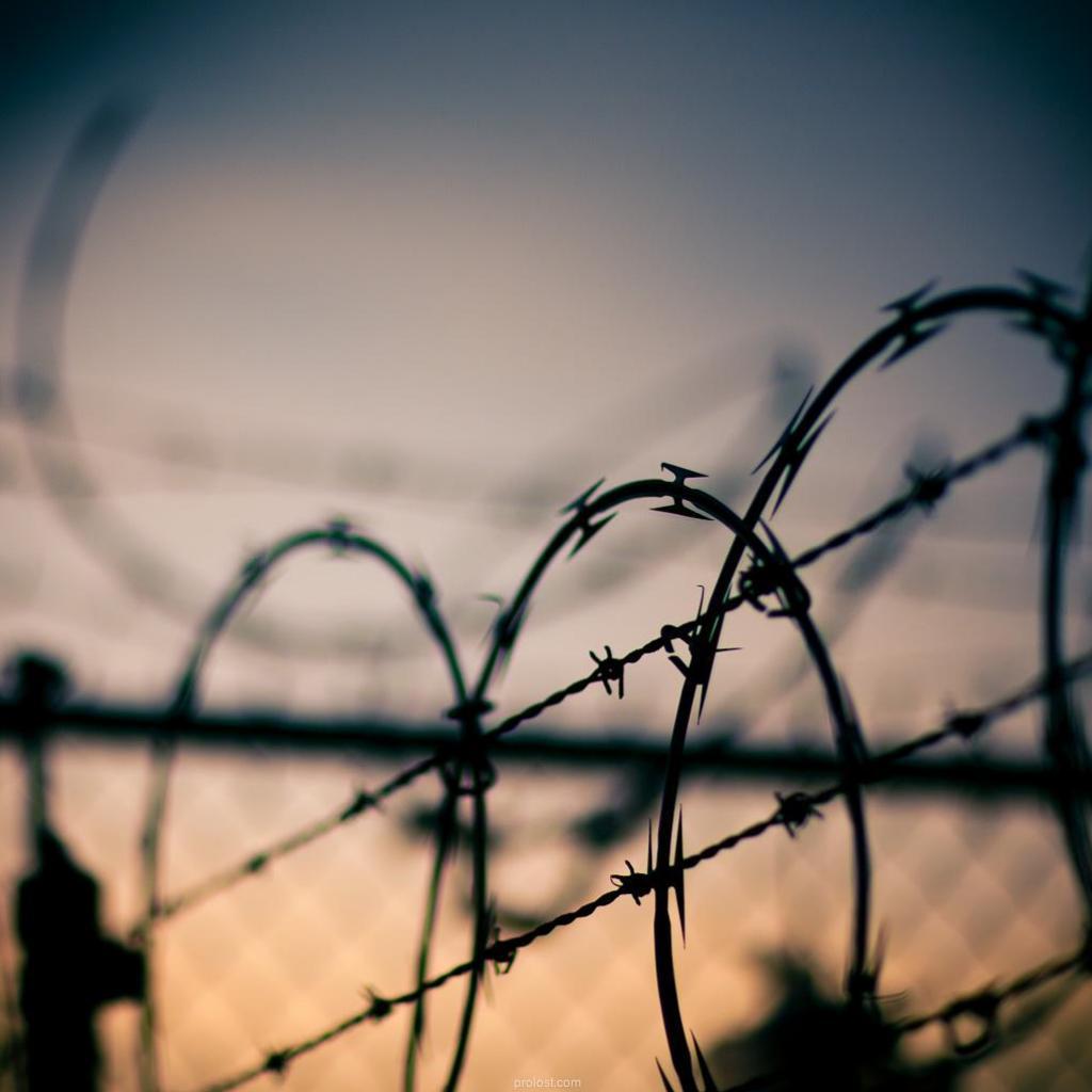 Barbed Wire Fences Wallpapers  Top Free Barbed Wire Fences Backgrounds   WallpaperAccess