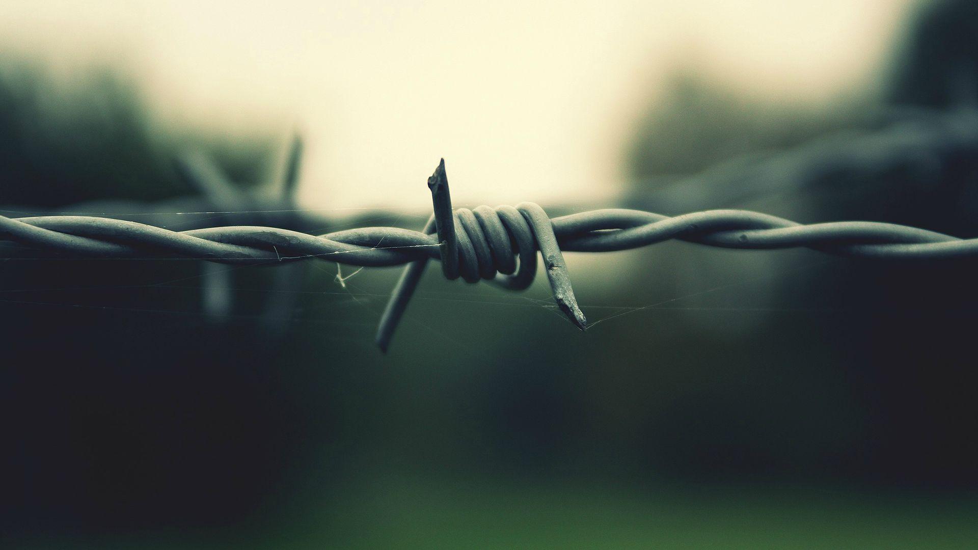 barbed wire cover