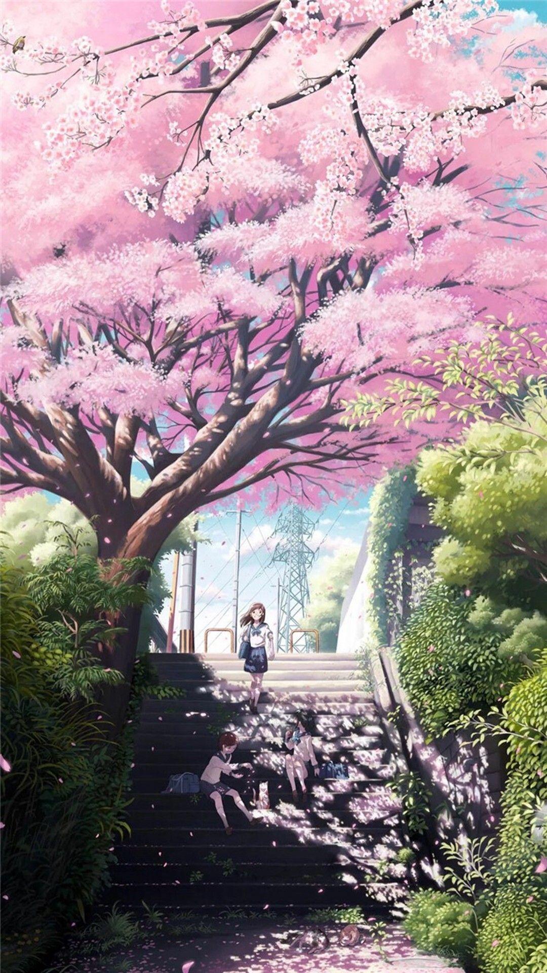 Cherry Blossom Tree Anime Wallpapers Top Free Cherry Blossom Tree Anime Backgrounds Wallpaperaccess