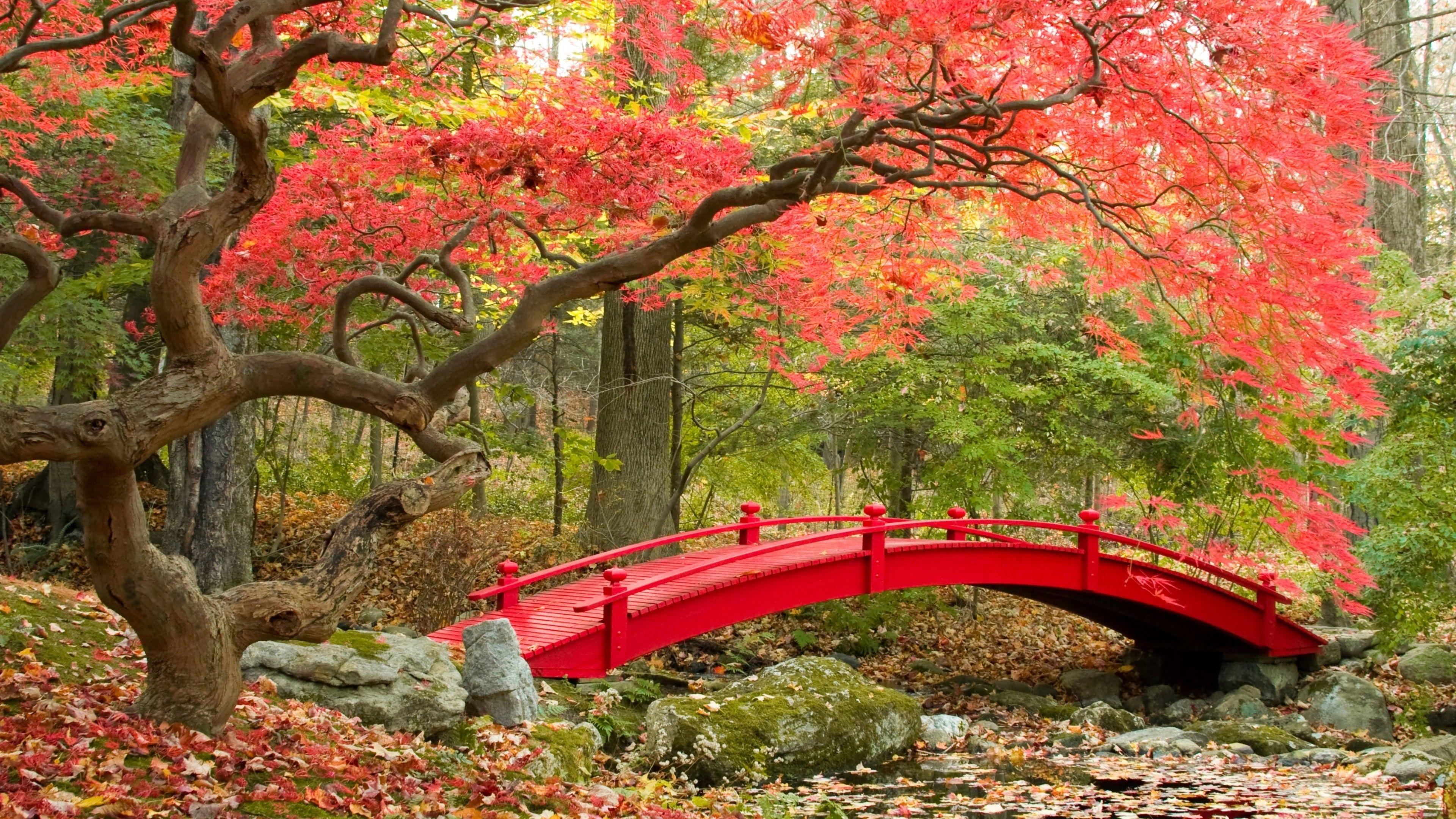 Japanese Garden Wallpapers - Top Free Japanese Garden Backgrounds