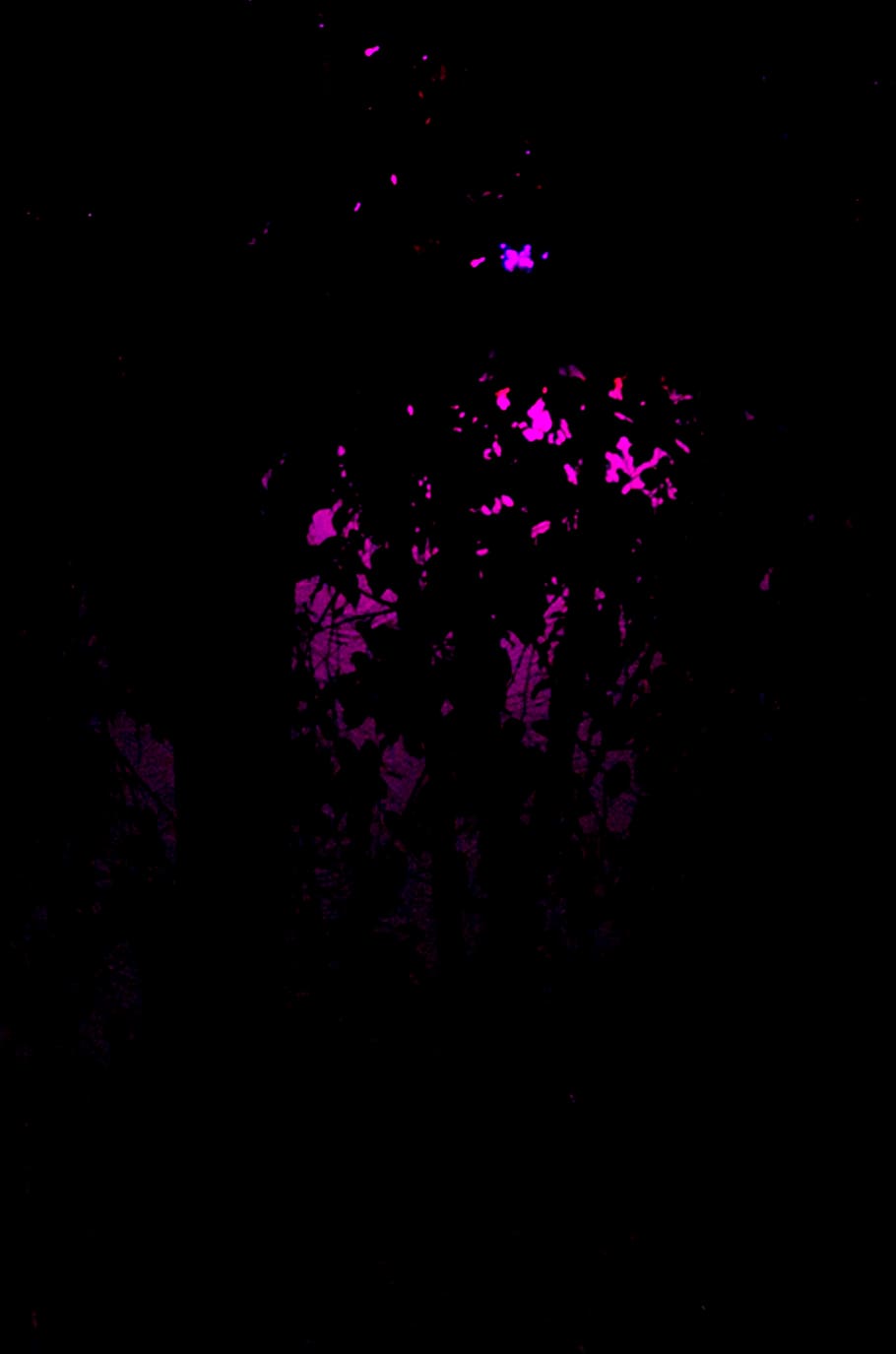 910x1375 HD wallpaper: mexico, guadalajara, pink lights, dark, outside
