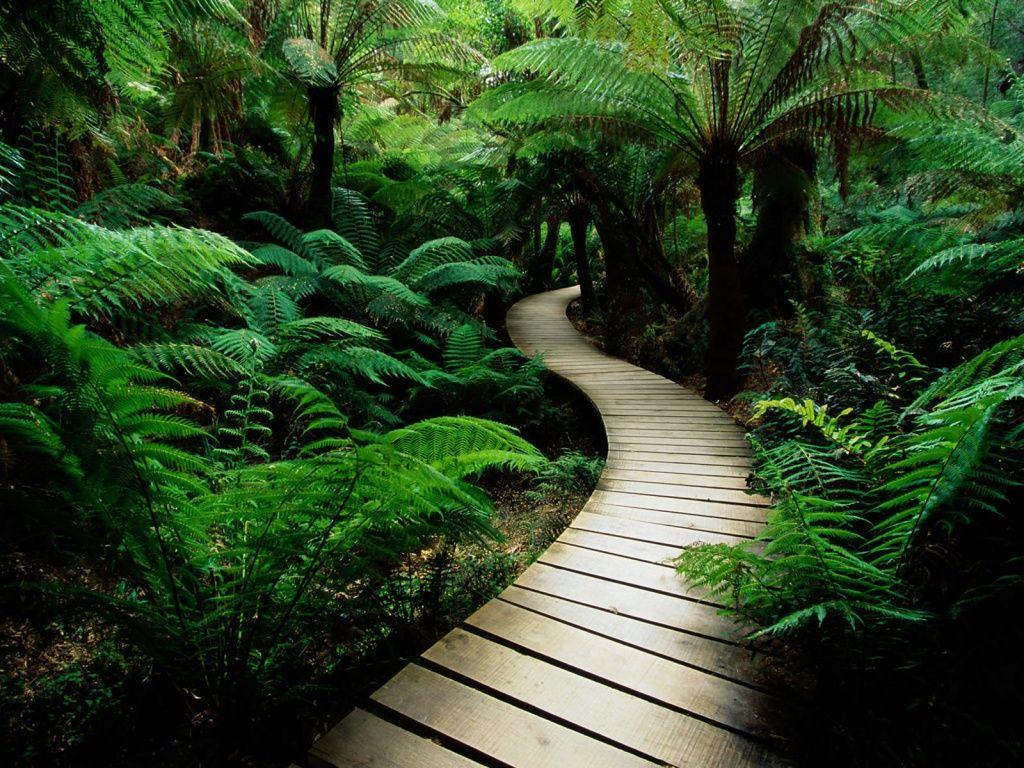 1024x768 LIPBY SEVENFOLD: Wallpaper Nature Free .lipbysevenfold.
