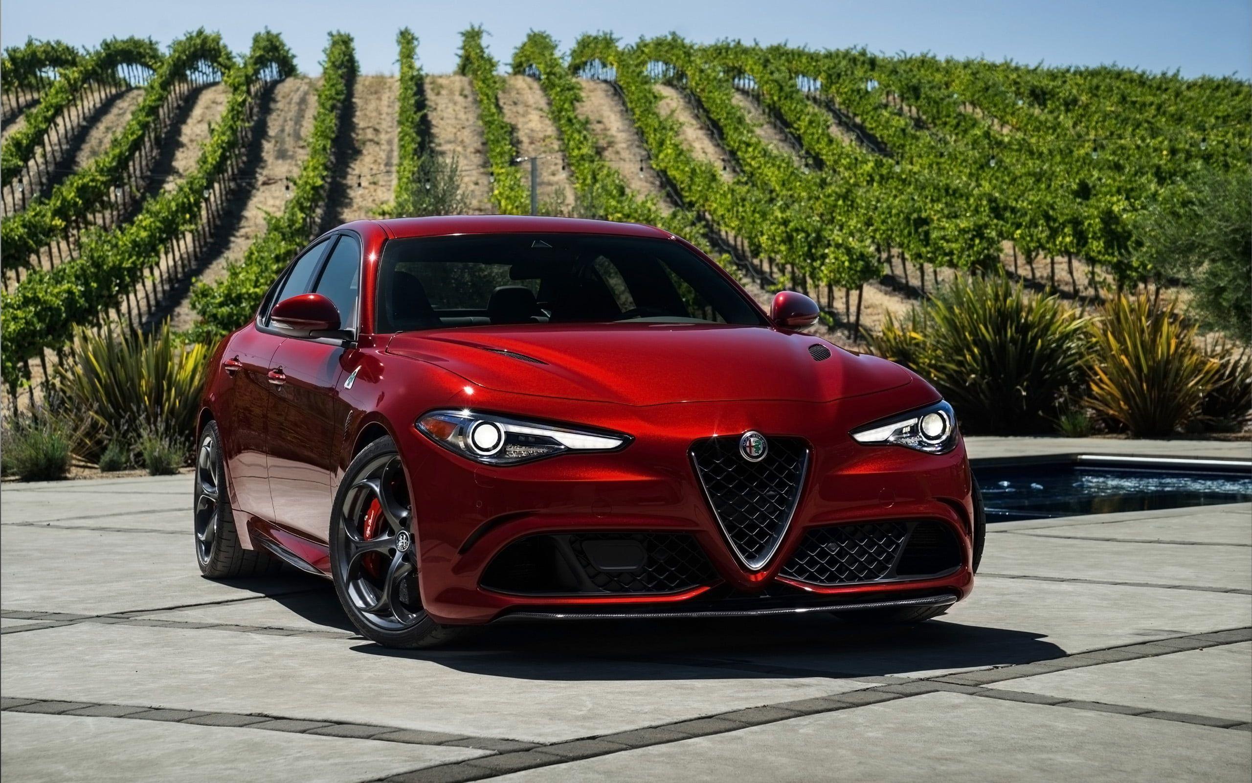 Hình nền HD 2560x1600 Red Alfa Romeo Giulia