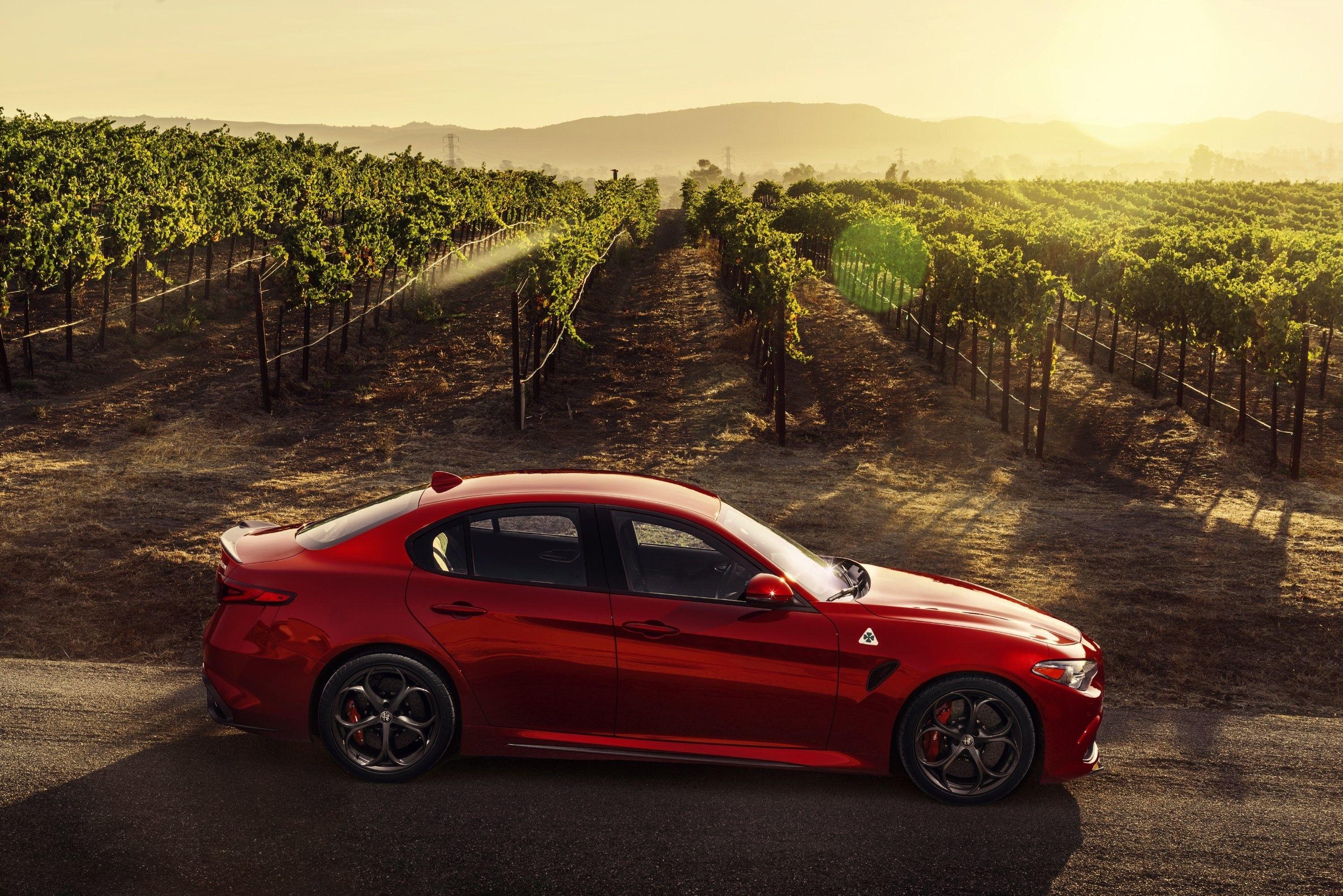 3000x2002 Alfa Romeo Wallpaper