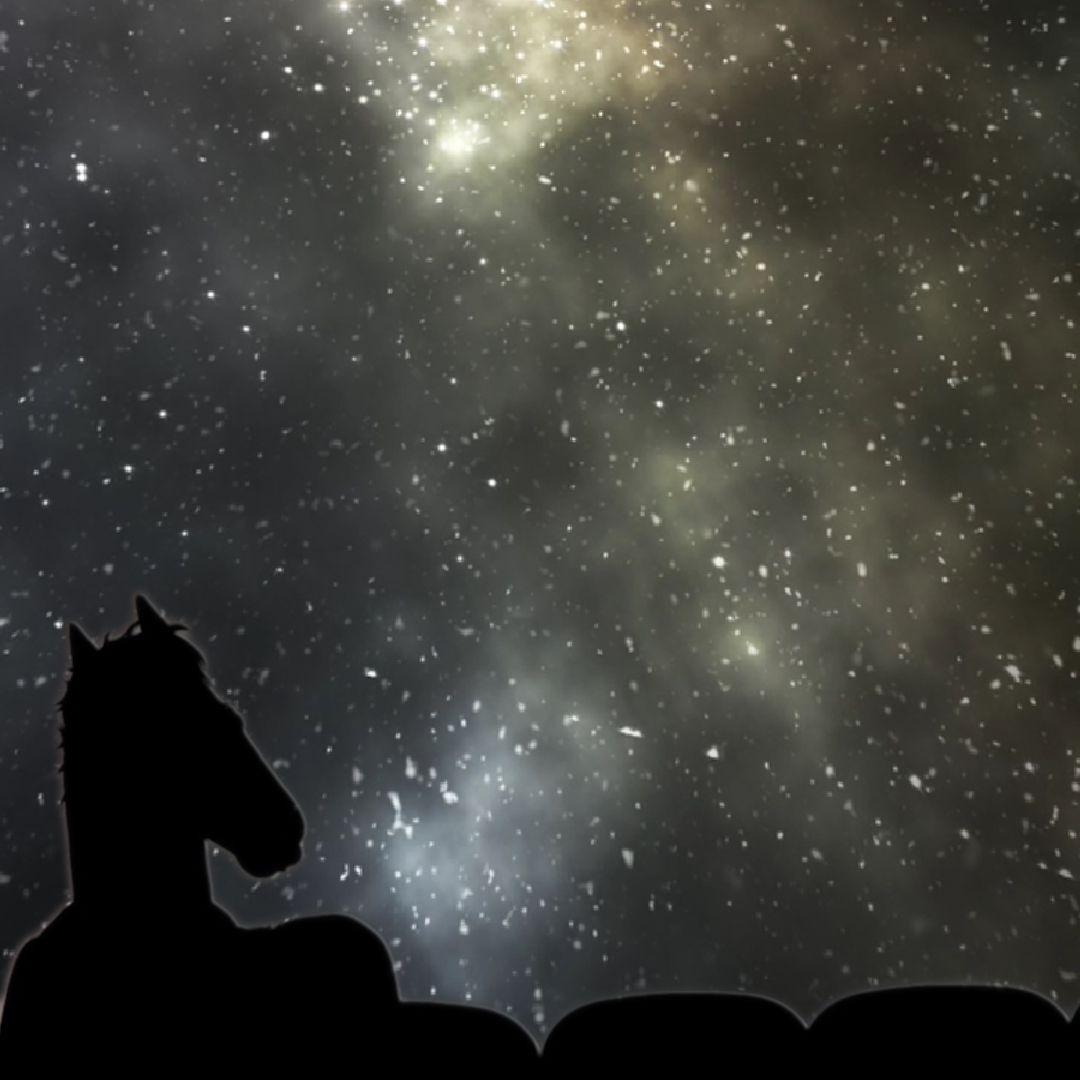 1080x1080 Stream 9 free Bojack Horseman + Sarah Lynn radio stationstracks radio apps