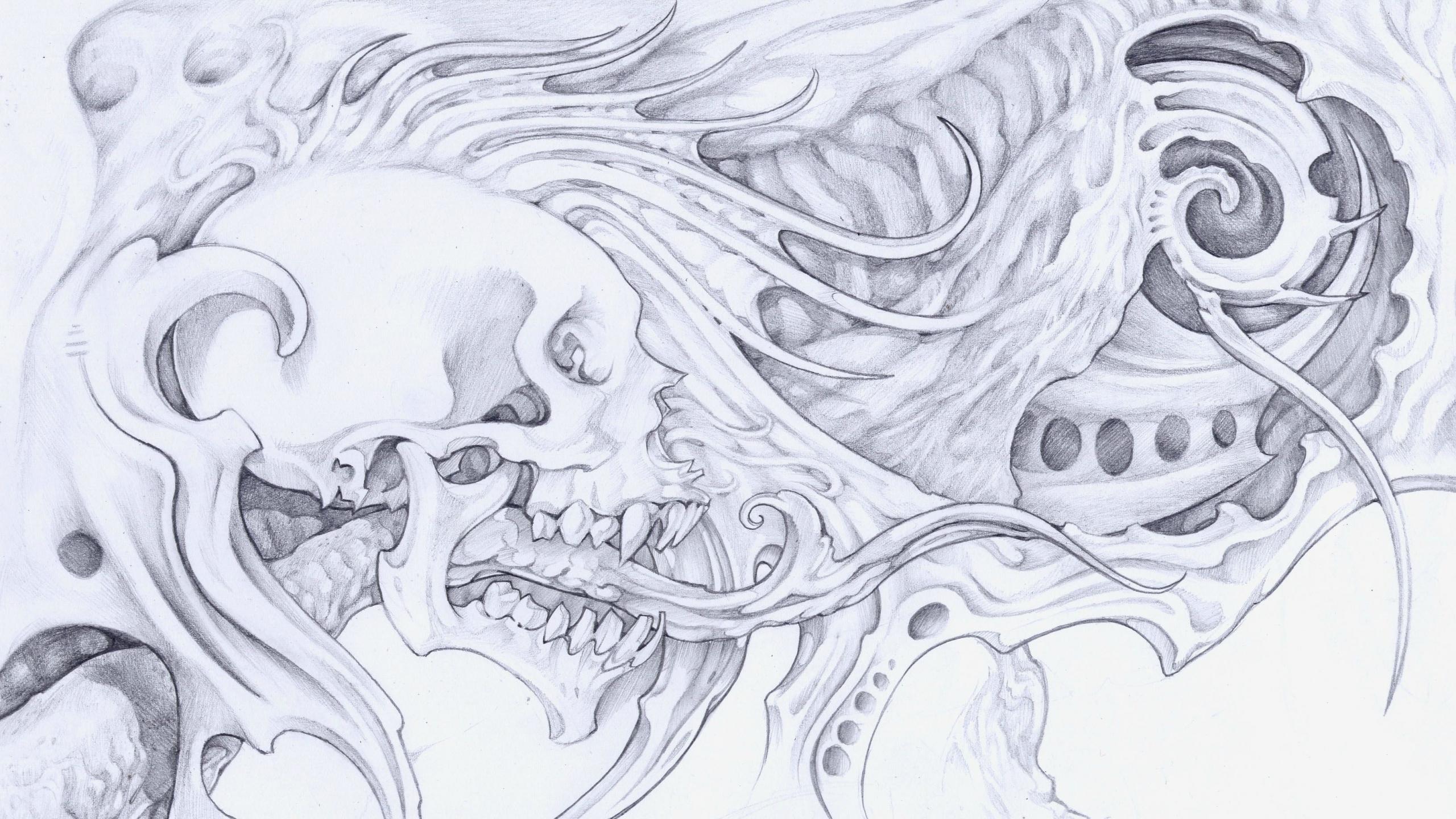2560x1440 Skull wallpaper 2560x1440 desktop background