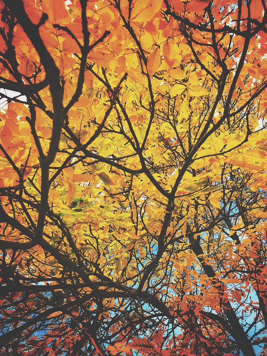 910x1213 Burlington vermont 1080P, 2K, 4K, 5K HD wallpaper free download