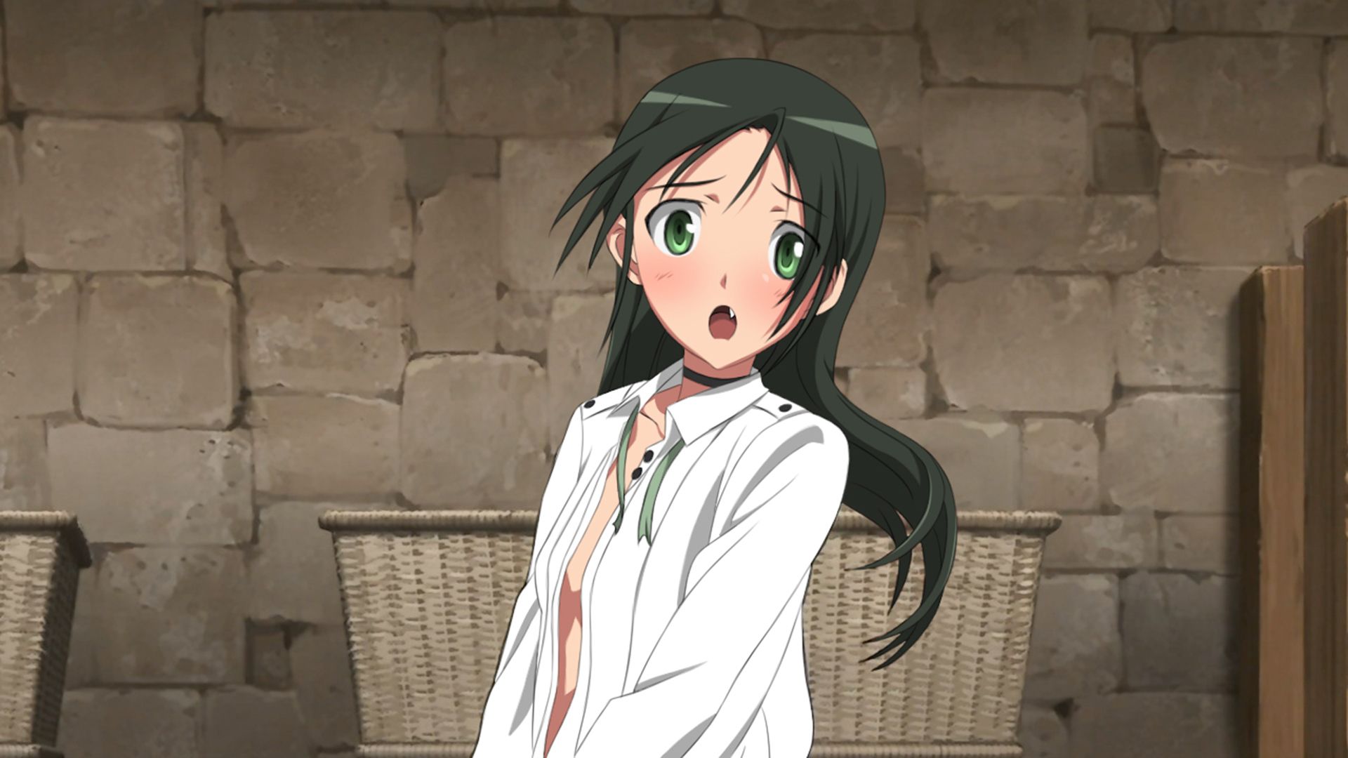 1920x1080 Wallpaper anime, girl., Strike Witches, Francesca Lucchini for mobile and desktop, section прочее, resolution 1920x1080