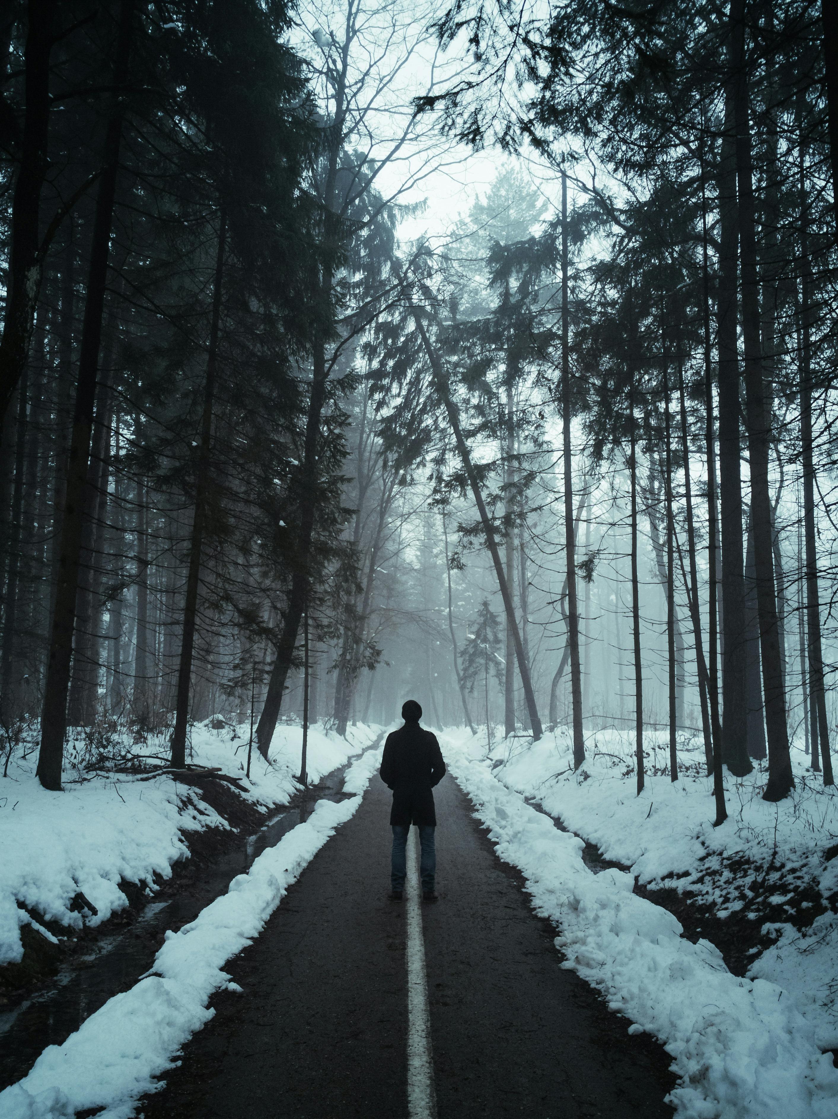 2826x3772 Best Alone Pics & Image · 100% Free Downloads