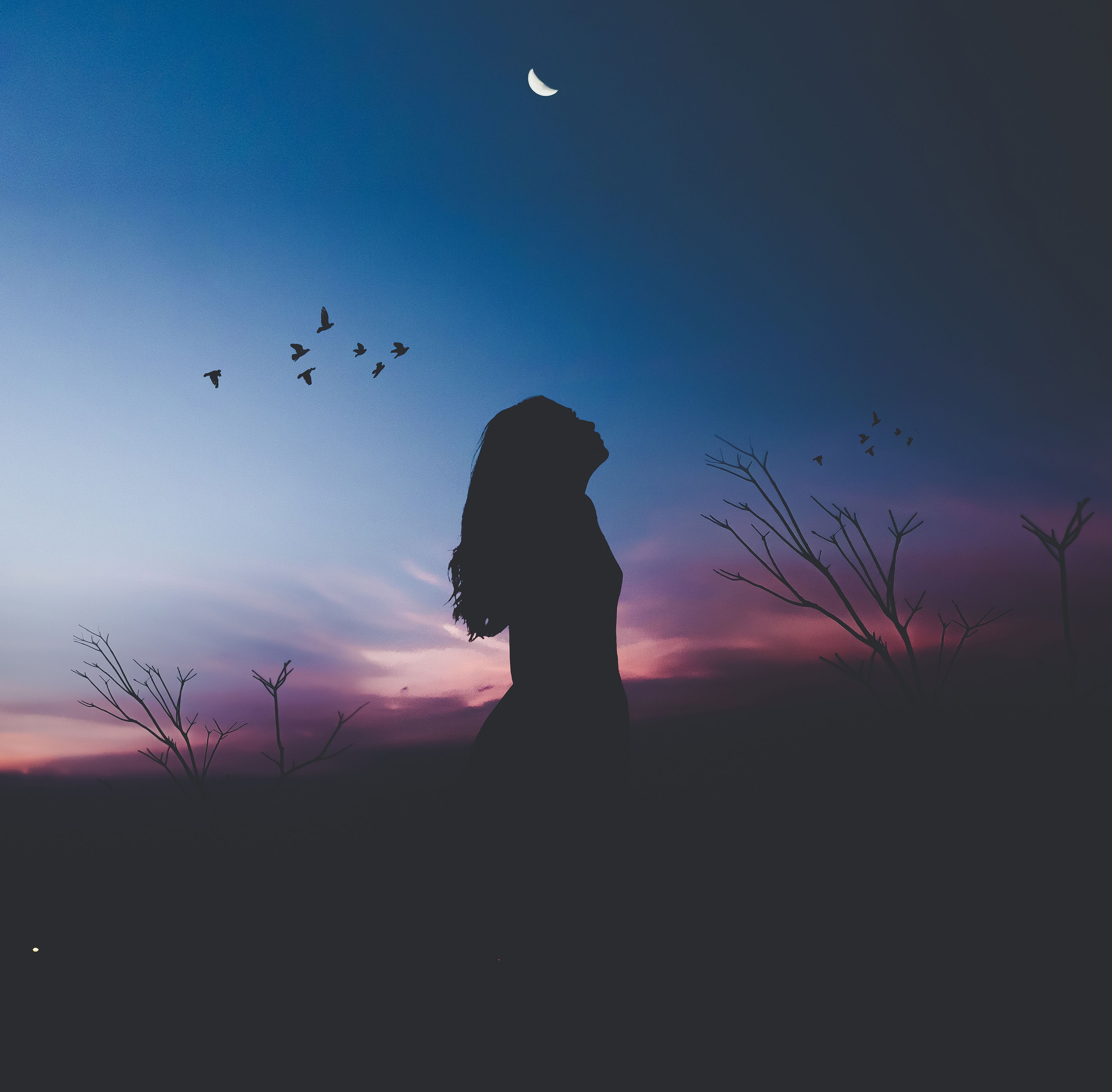 3456x3392 Alone, Silhouette, Woman, Birds, HD Wallpaper