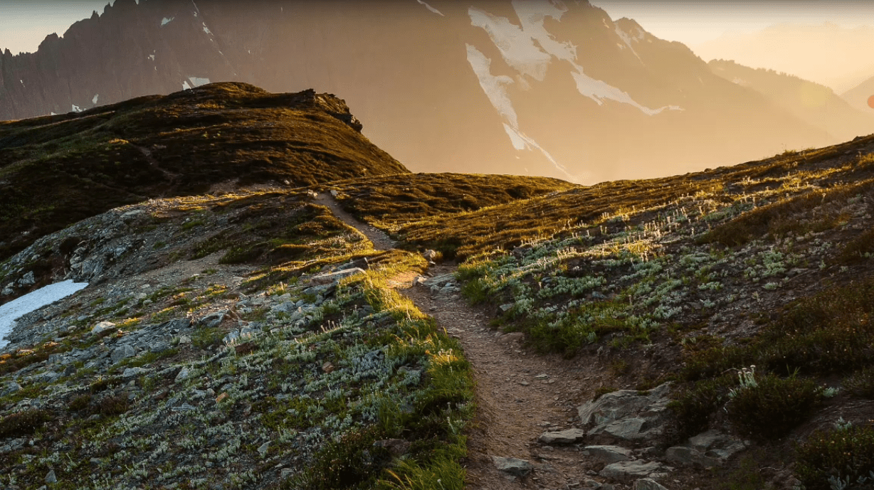 1228x689 Anywhere I can find the old default wallpaper?