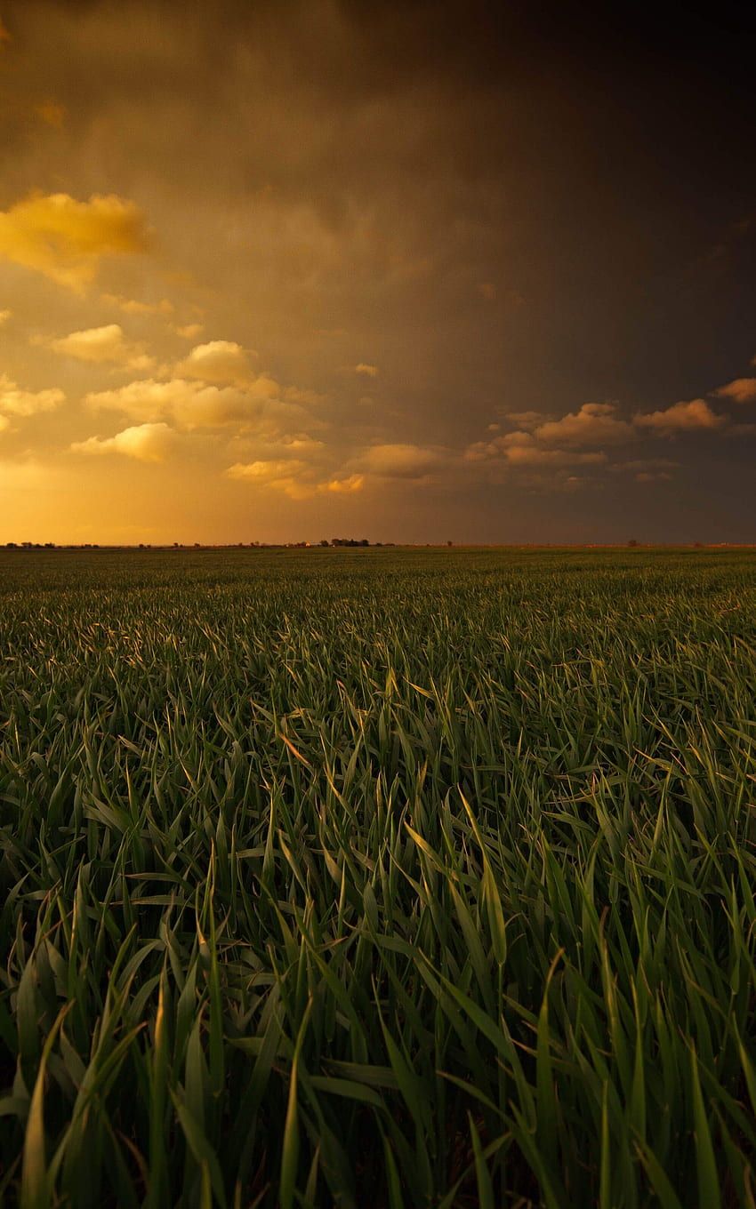 850x1360 For Kindle Fire, Amazon Tablet HD phone wallpaper