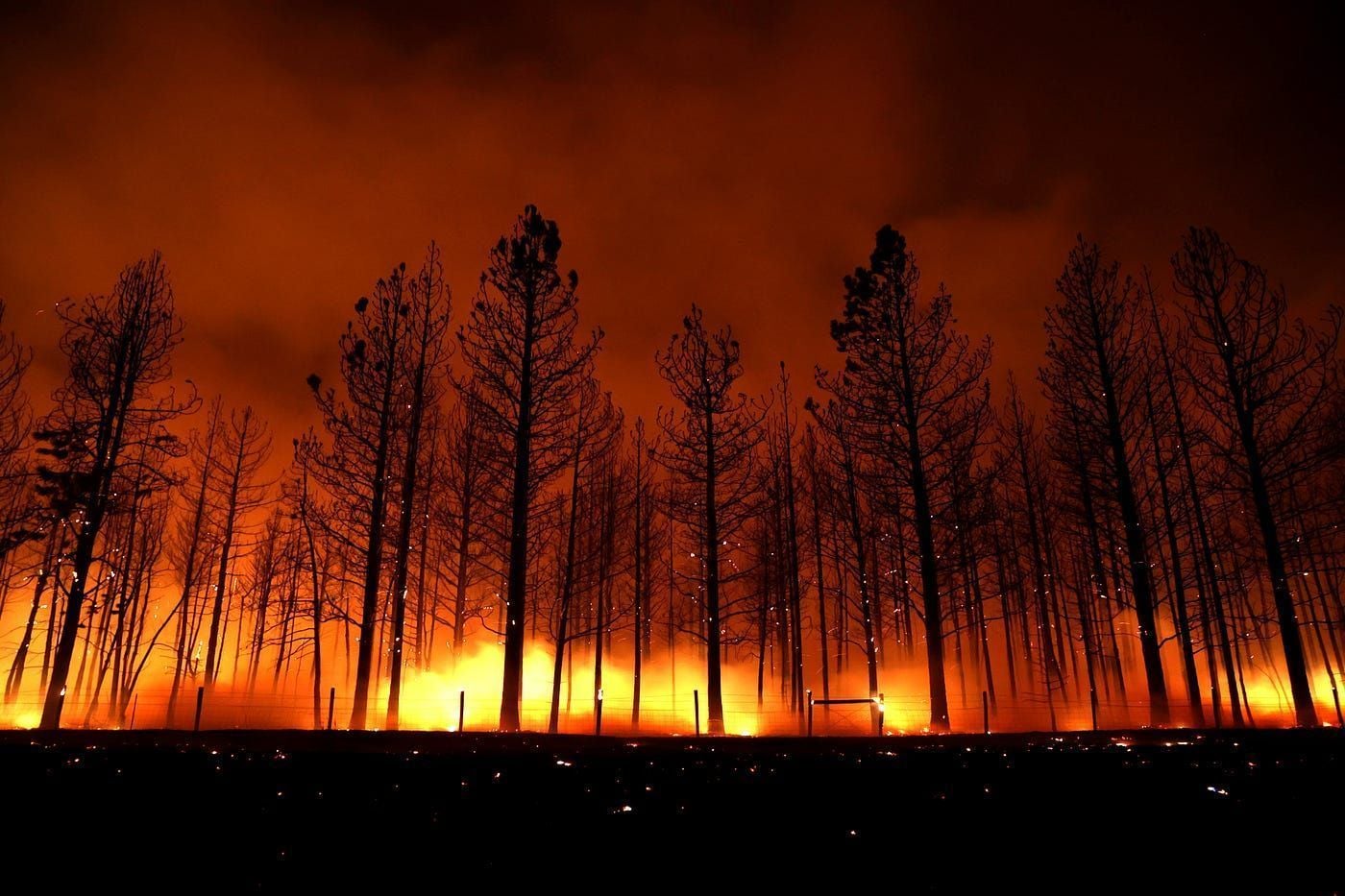 1400x933 I Lost My Friend in a Firestorm. Then a Massive Forest Fire Almost Burned Down My Brother's House. by Melora Garrison. The Bold Italic