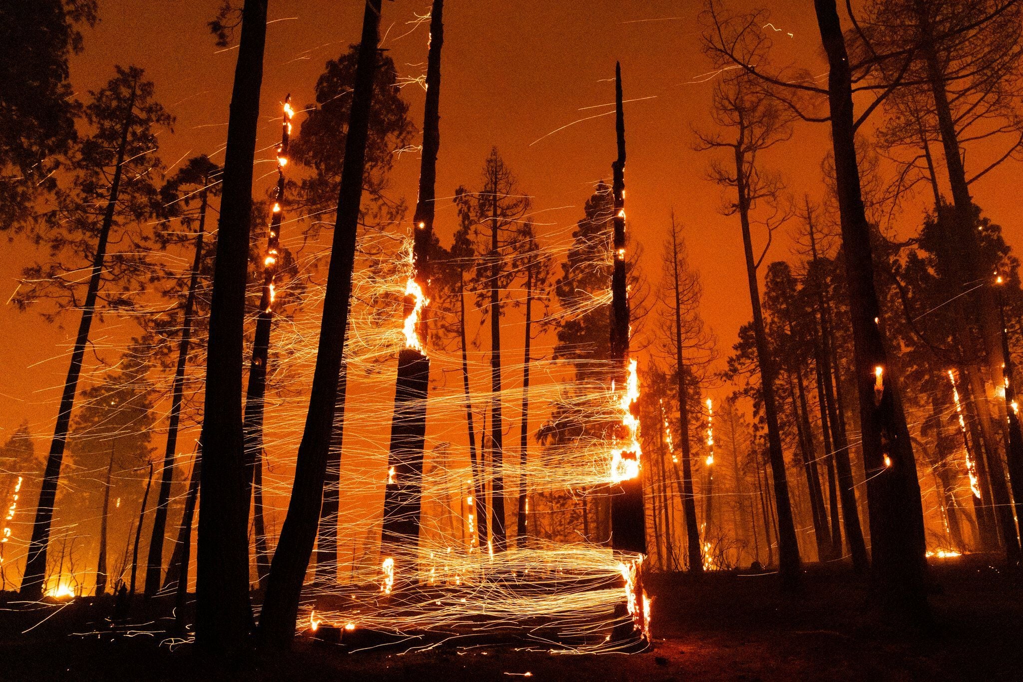 2048x1366 Opinion. What Starts Wildfires? Too Often, Careless Humans