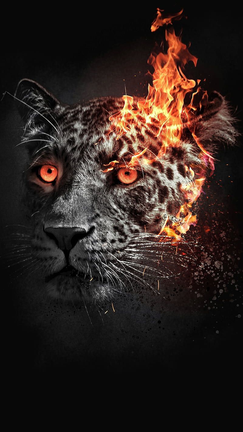 800x1422 DYING, Art, IK, amazon, animal, black, cat, fire, jaguar, leopard, new, rainforest, HD phone wallpaper