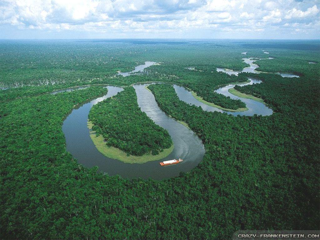 1024x768 Free download Wallpaper Amazon River [1024x768] for your Desktop