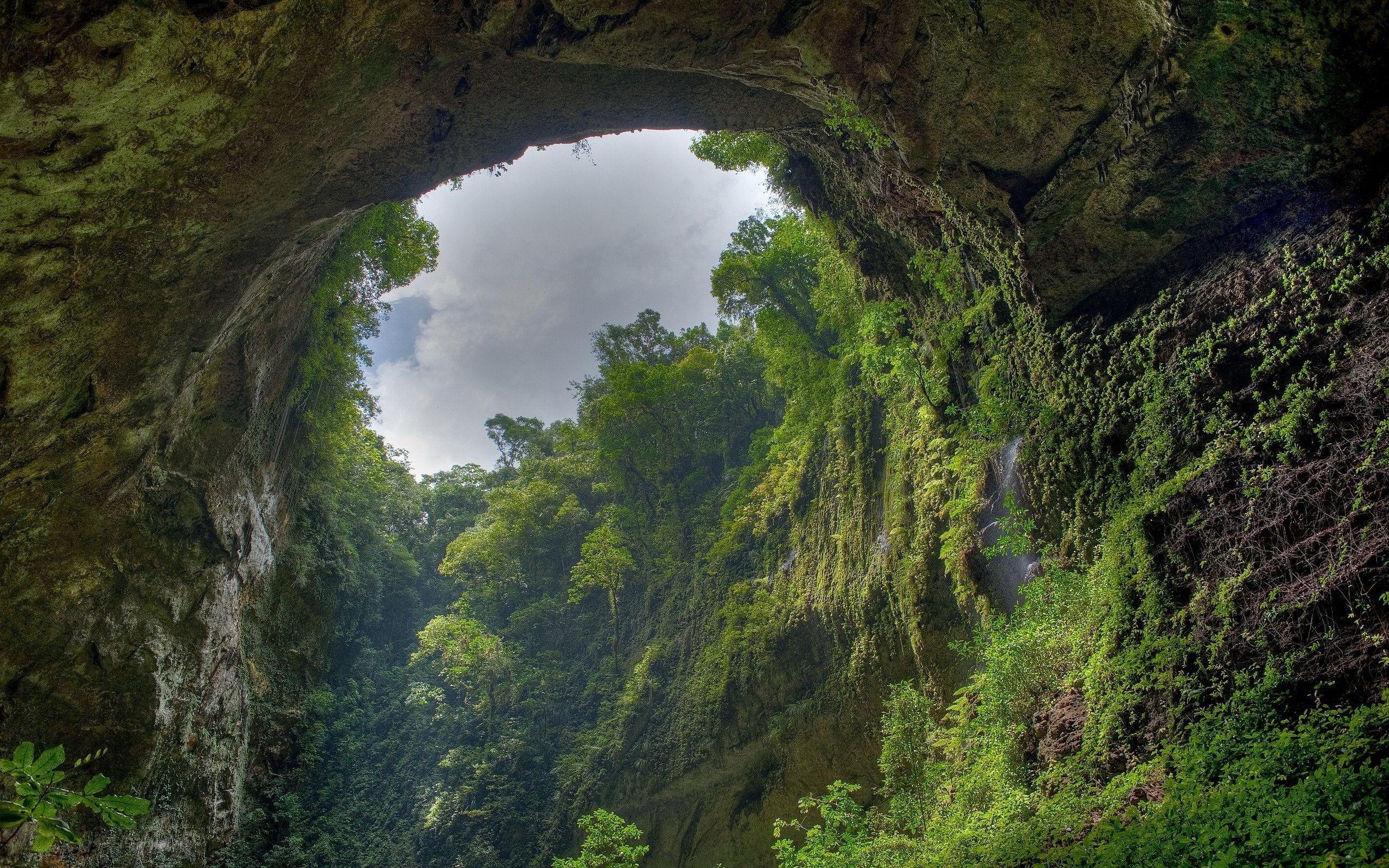2560x1600 Amazon River Rain Forest Wallpaper Desktop Background