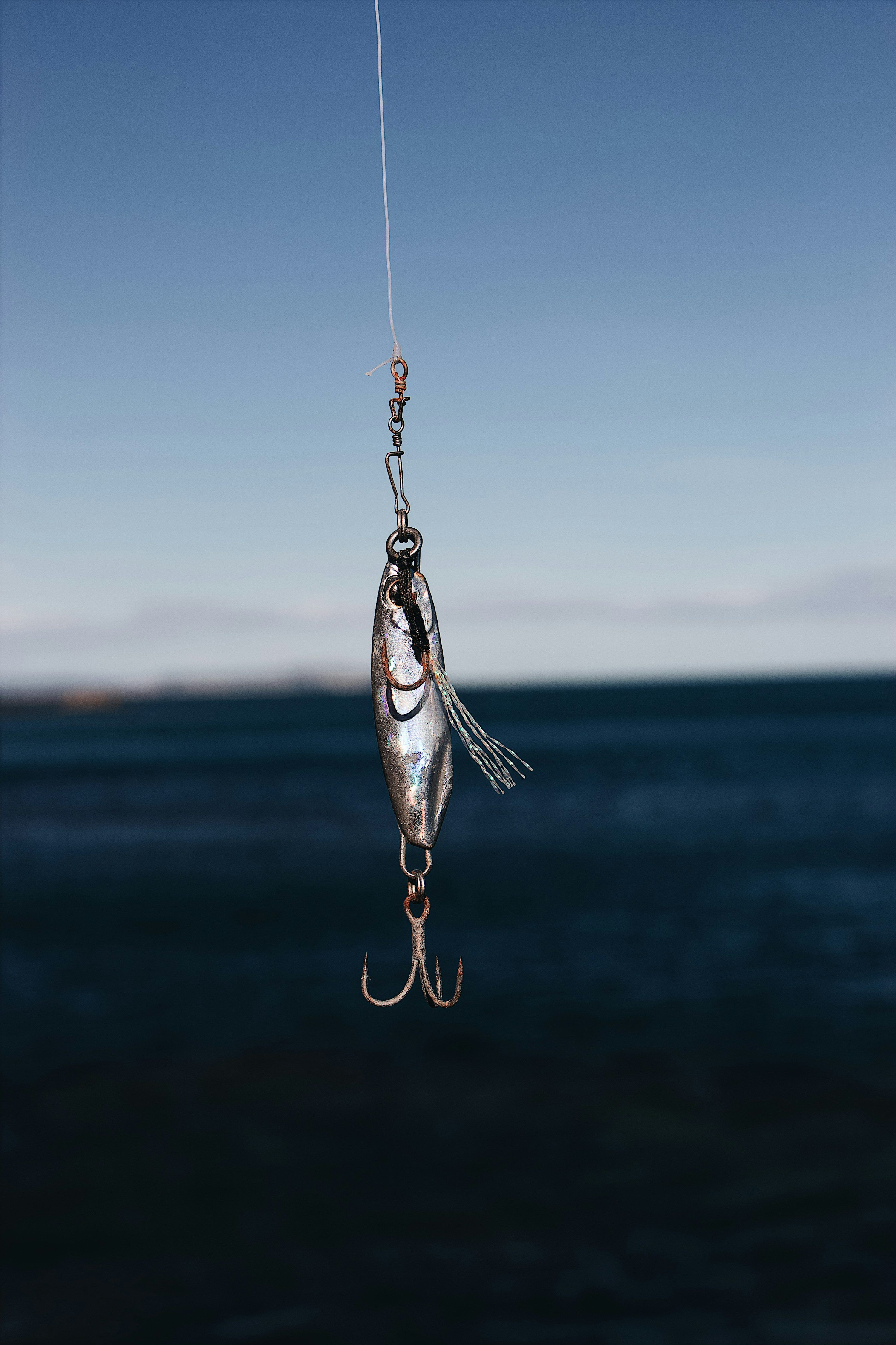 3000x4500 Fishing Hook Picture. Download Free Image