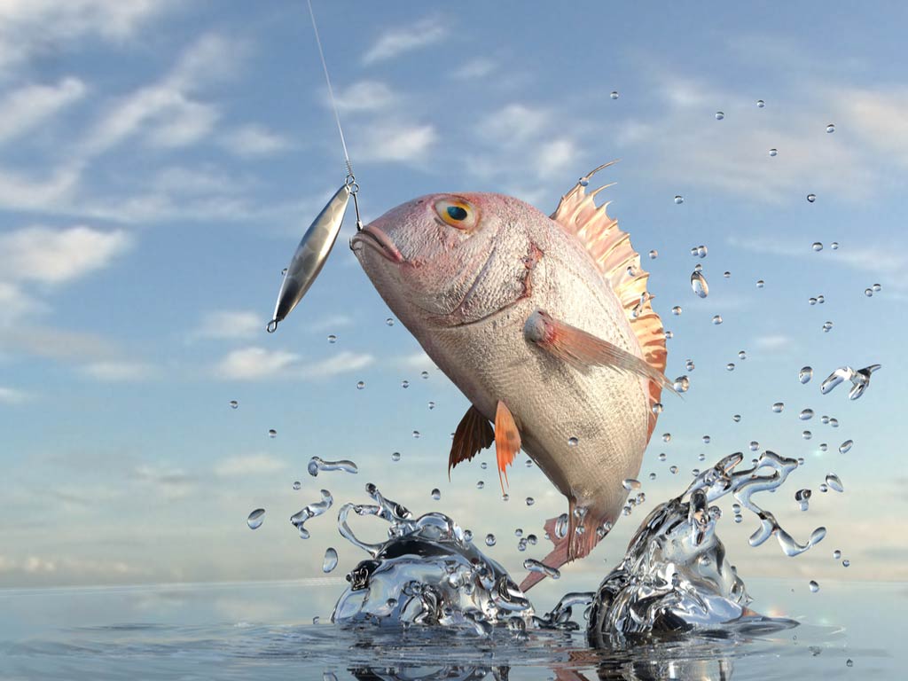 1024x768 Most Common Types of Fishing Lures