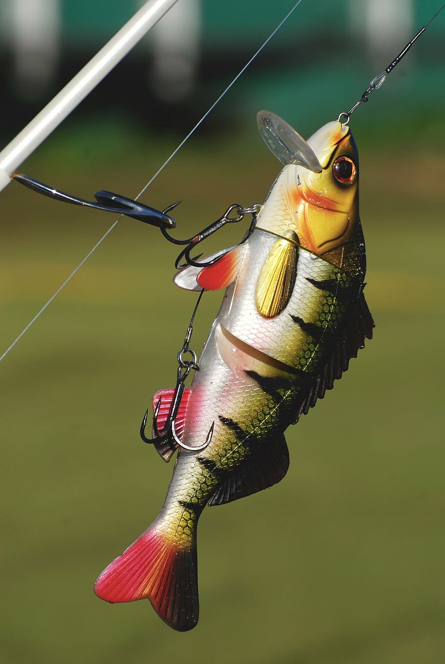 910x1359 Fishing lures 1080P, 2K, 4K, 5K HD wallpaper free download