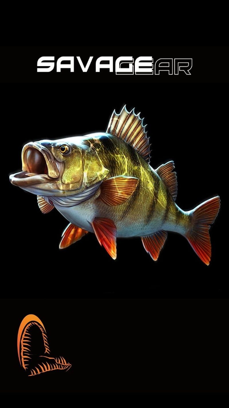 800x1422 HD lure wallpaper