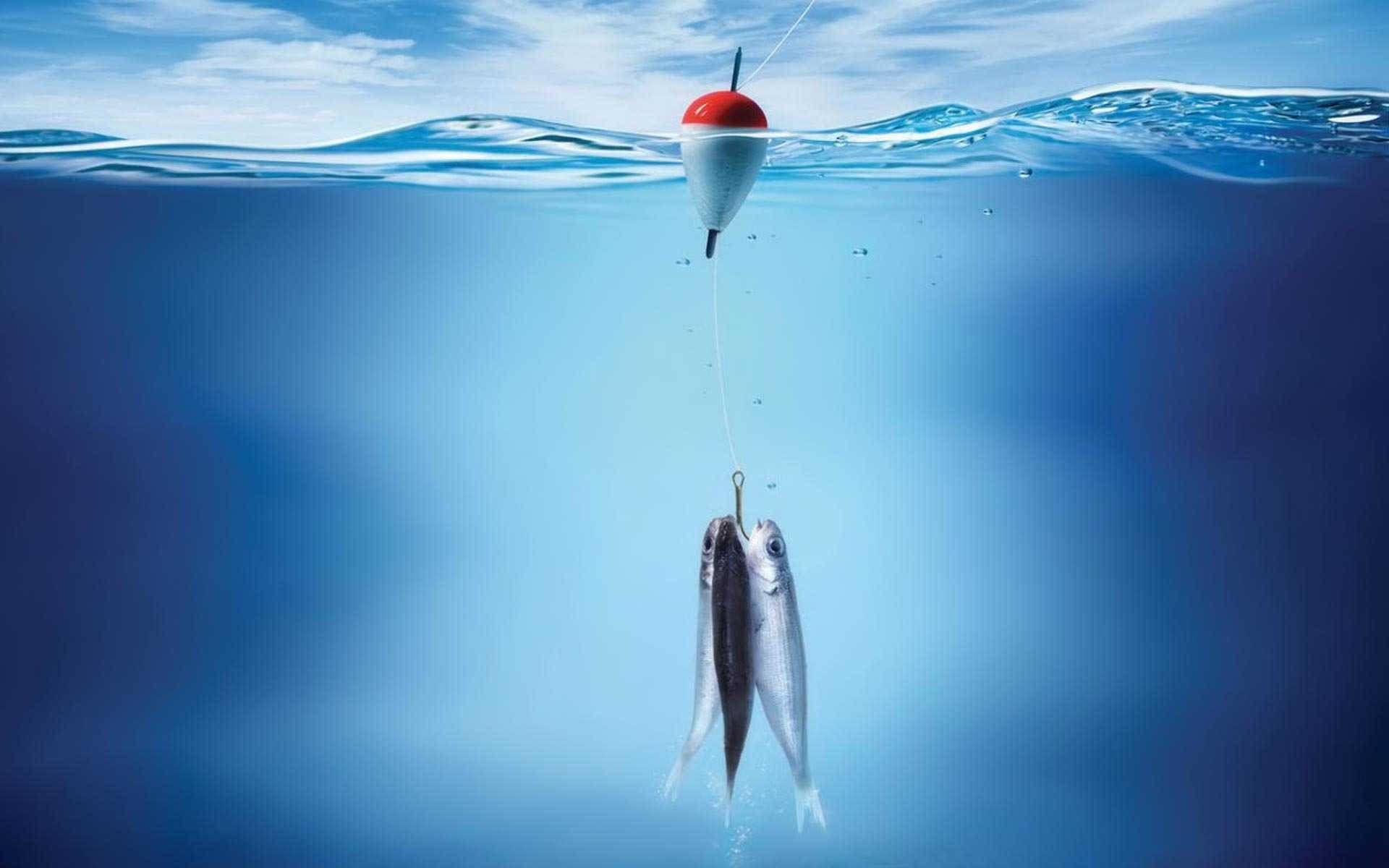 1920x1200 Bass Fishing Wallpaper