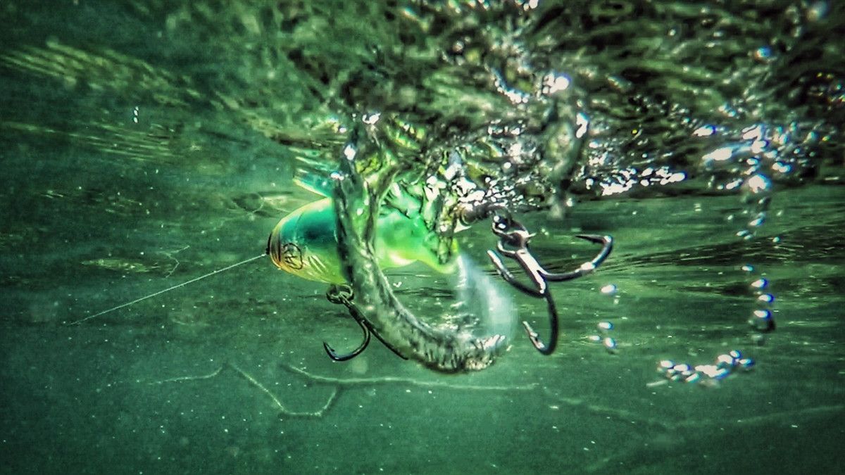 1200x675 Choosing Topwater Prop Baits: Whopper Plopper Vs. Buzzbaits