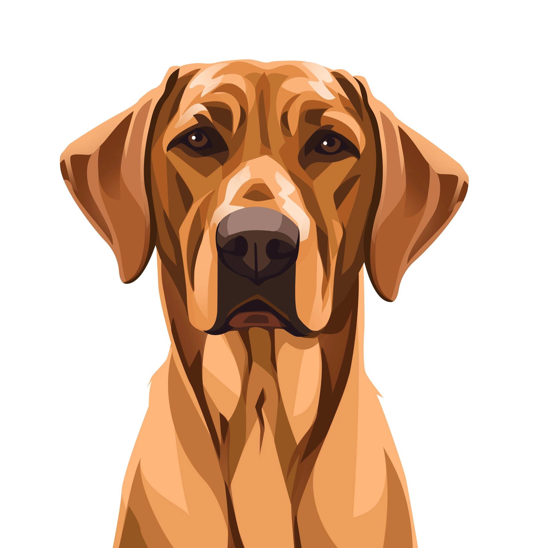 1920x1920 Download Rhodesian Ridgeback Dog Art Wallpaper