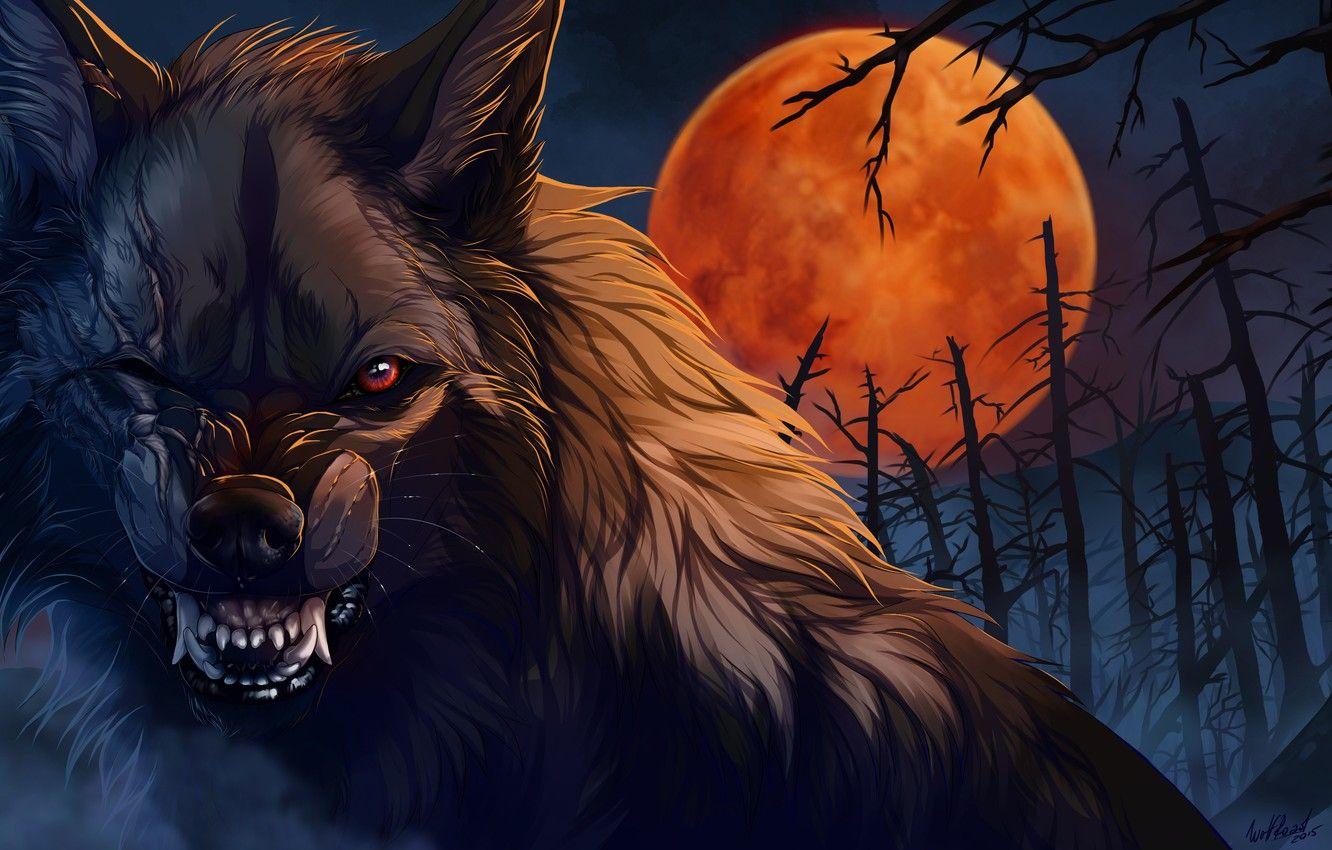 Free download Werewolf by Night WIP by uncannyknack on 1024x576 for your  Desktop Mobile  Tablet  Explore 45 Classic Werewolf Wallpaper  Werewolf  Wallpapers Werewolf Backgrounds Werewolf Background