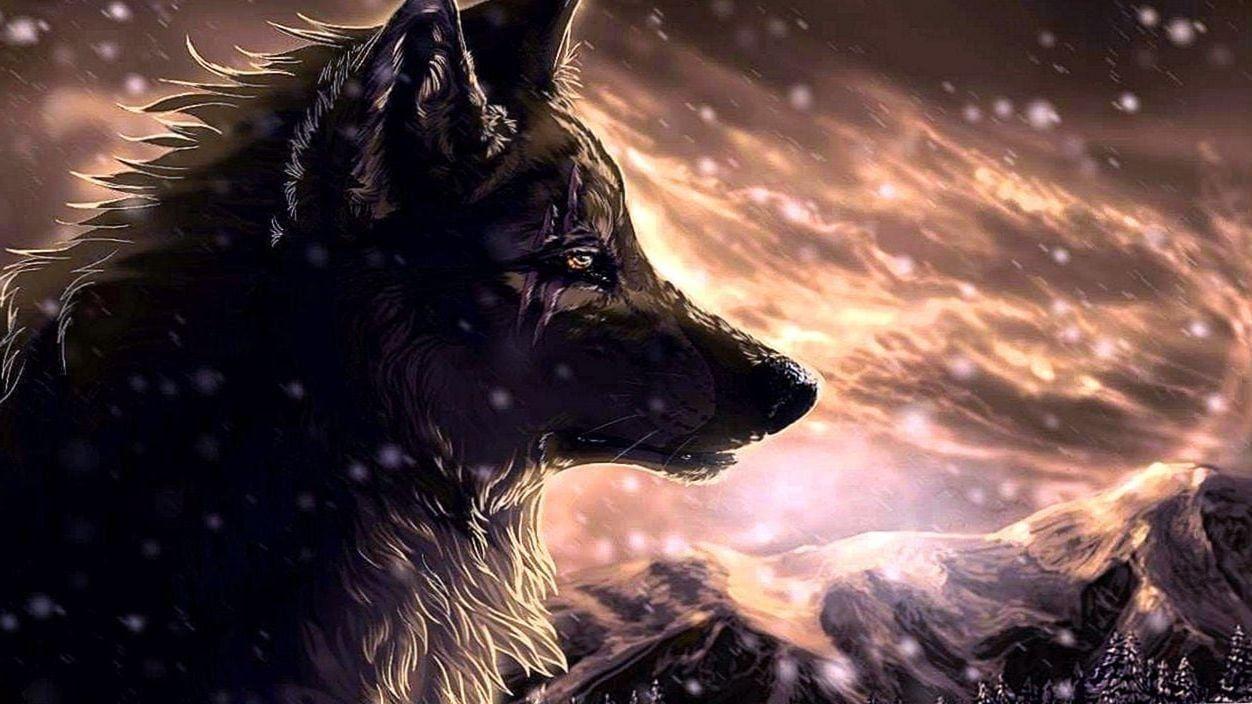 1252x704 Bloody Wolf Wallpaper Wallpaper.pro