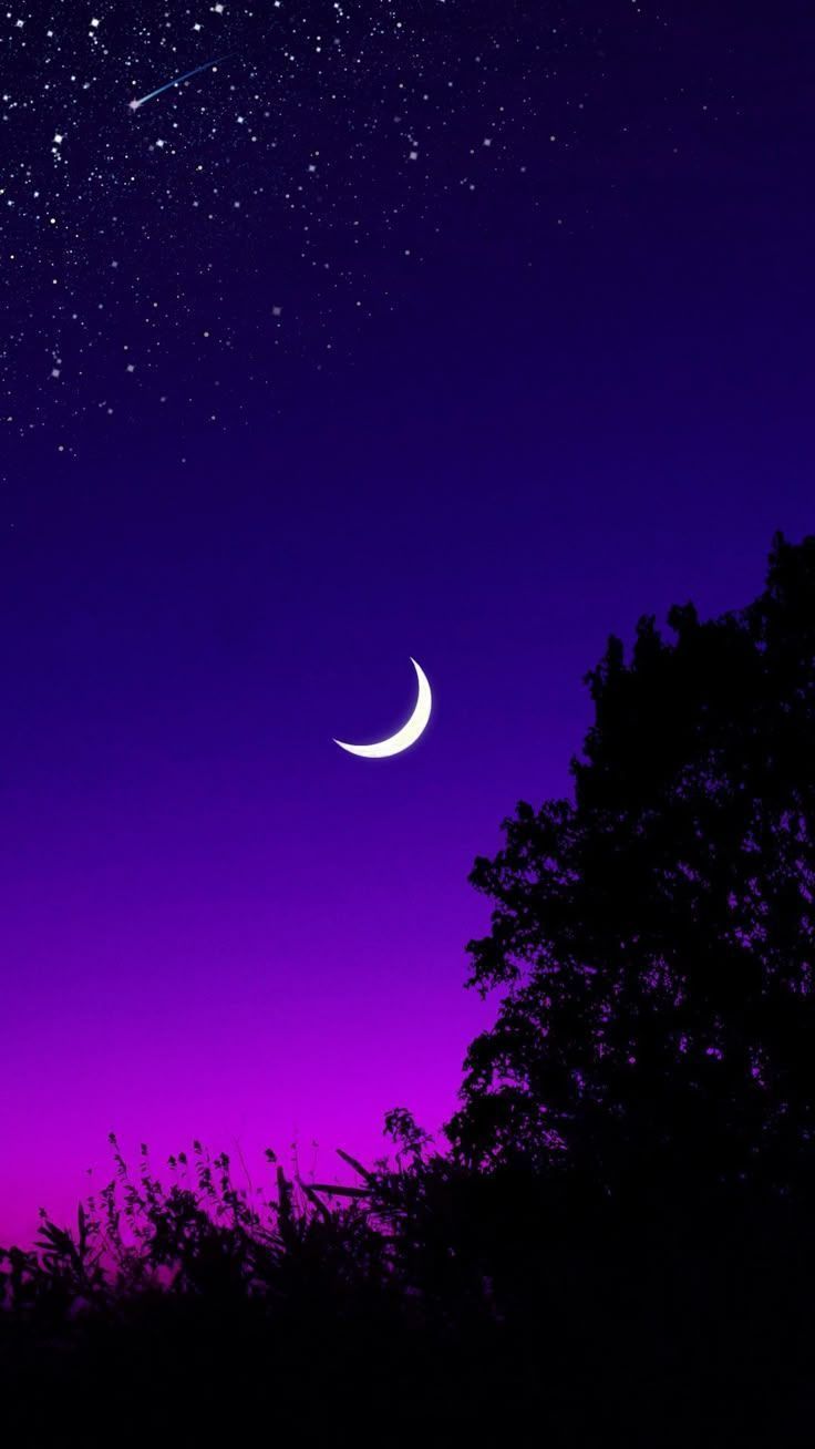 736x1308 Download wallpaper 1080x1920 moon, tree, starry sky, night, stars, dark samsung galaxy s s note, sony xperia z, z z z htc one, lenovo vibe HD background