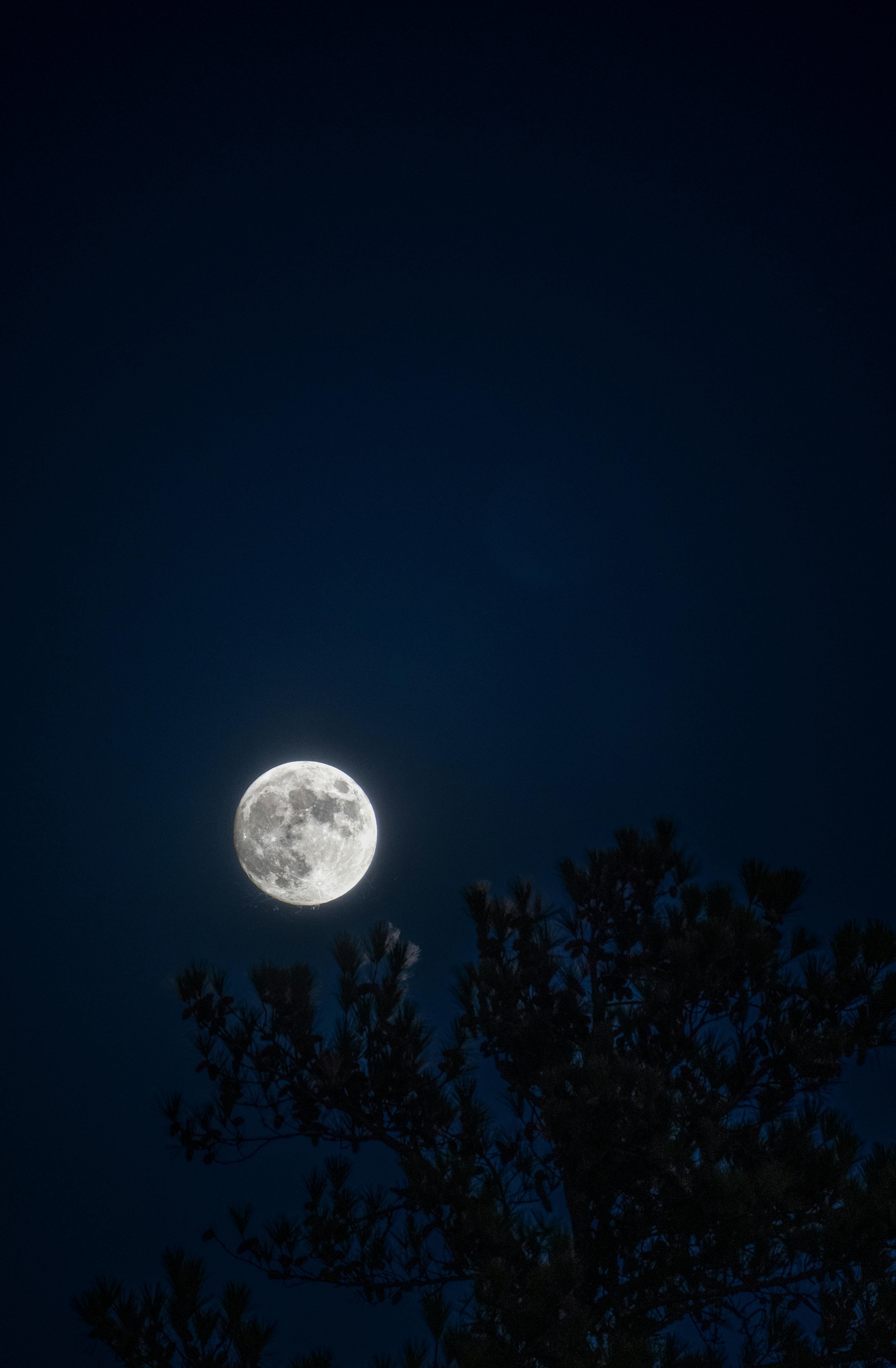 5257x8024 Full Moon on Night Sky · Free