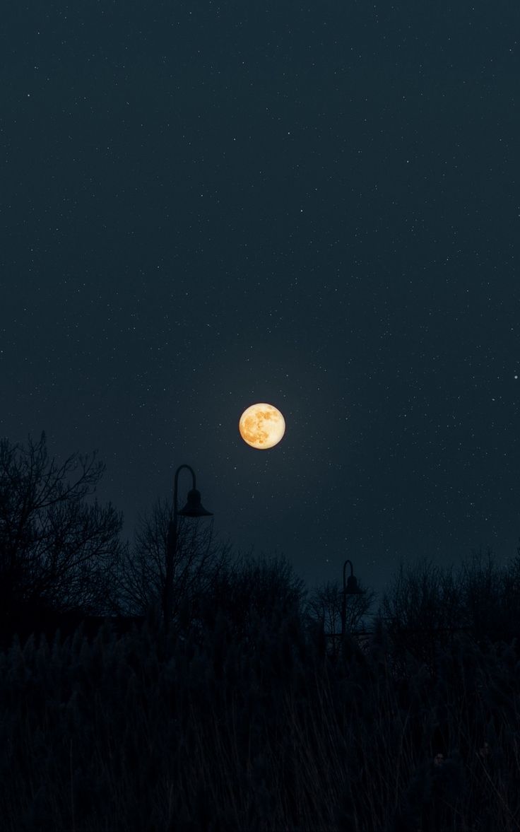 736x1177 Wallpaper darkness night starry sky silhouettes full moon moon