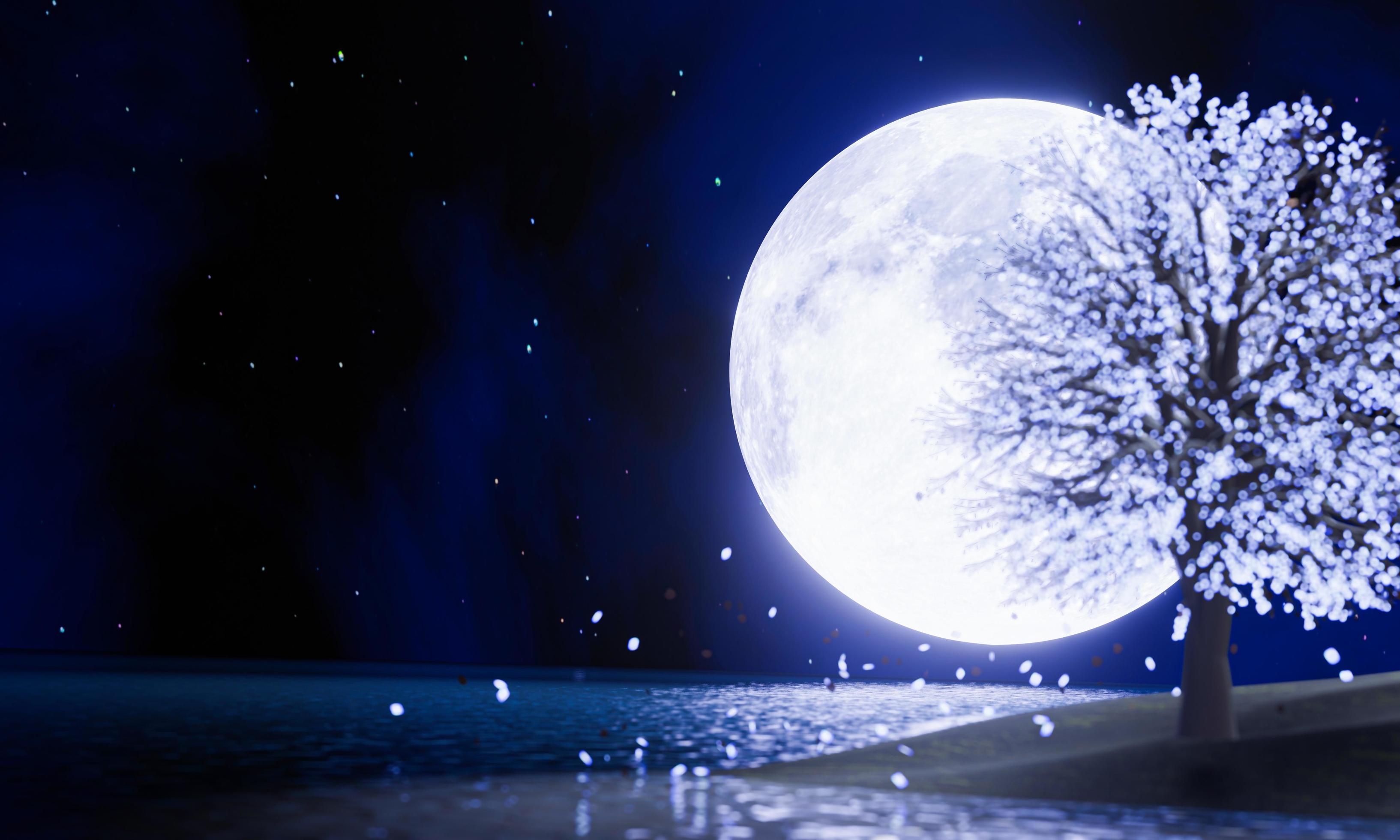 3267x1960 full blue moon In the night sky there are stars in the sky. Super Moon in the middle of the sea with reflections on the water surface. Blurred fantasy trees glowing leaves