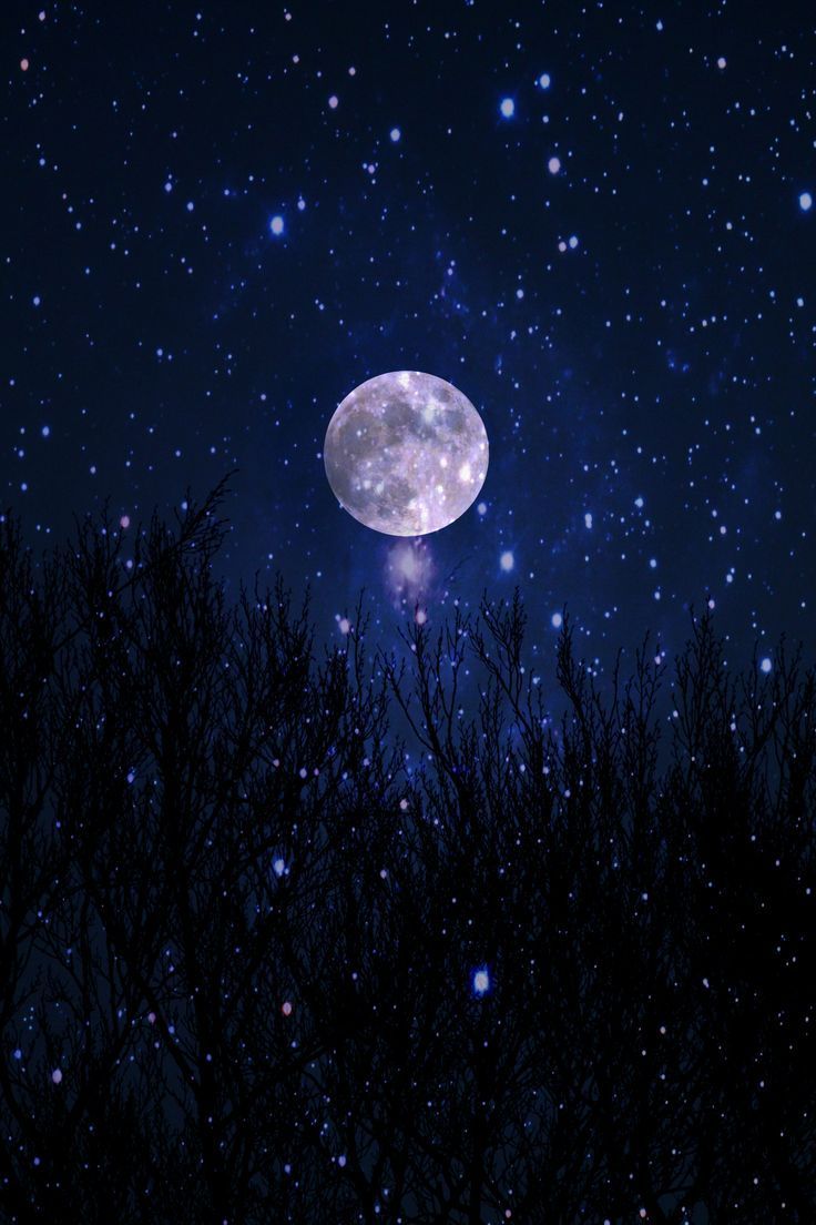 736x1104 Full Moon & Stars