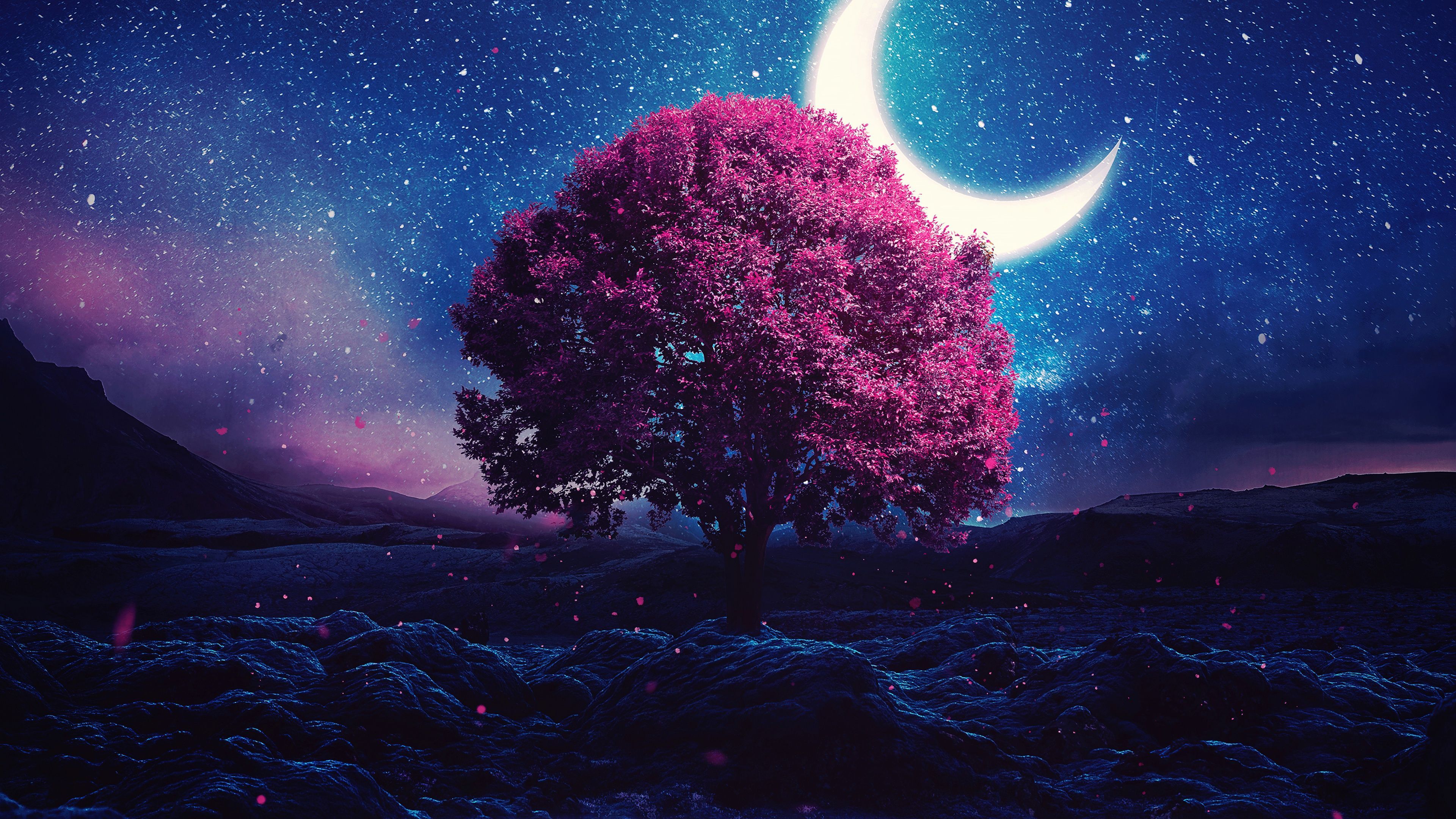 3840x2160 Aesthetic Wallpaper 4K, Lone tree, Crescent Moon